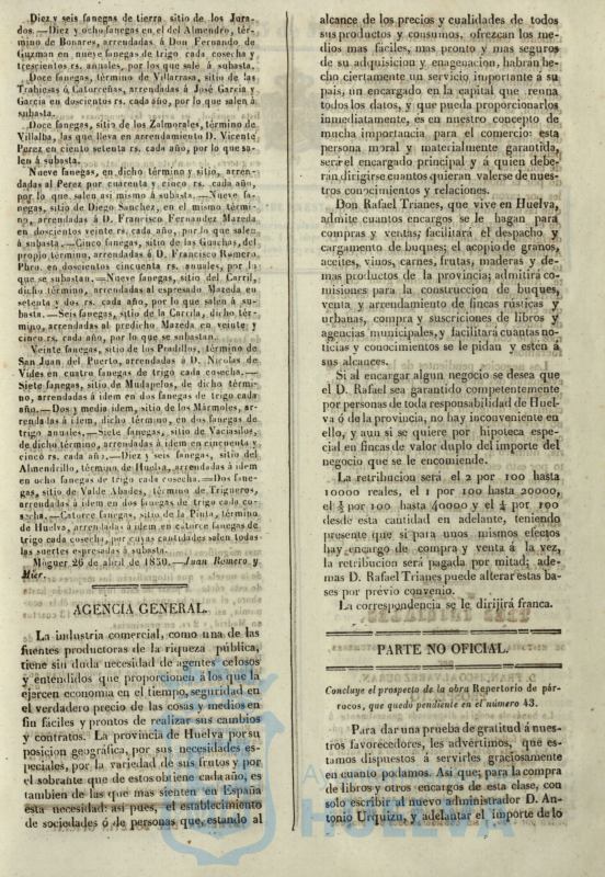 * Image 218