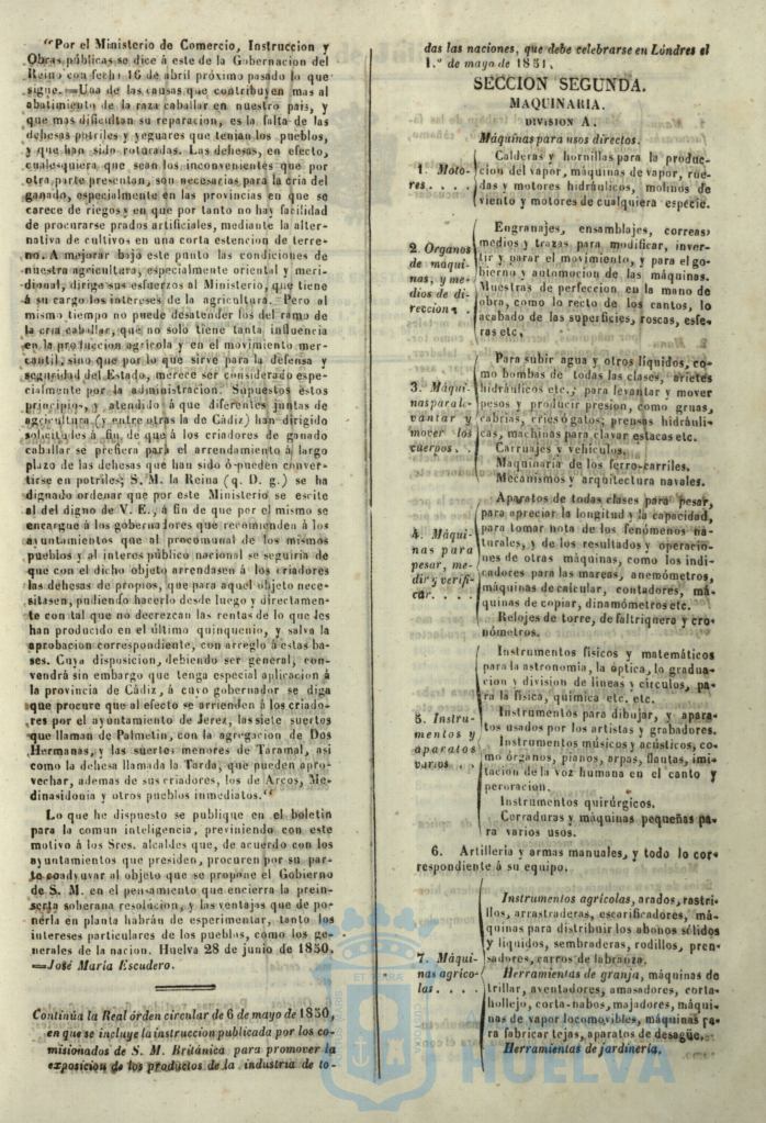 * Image 305