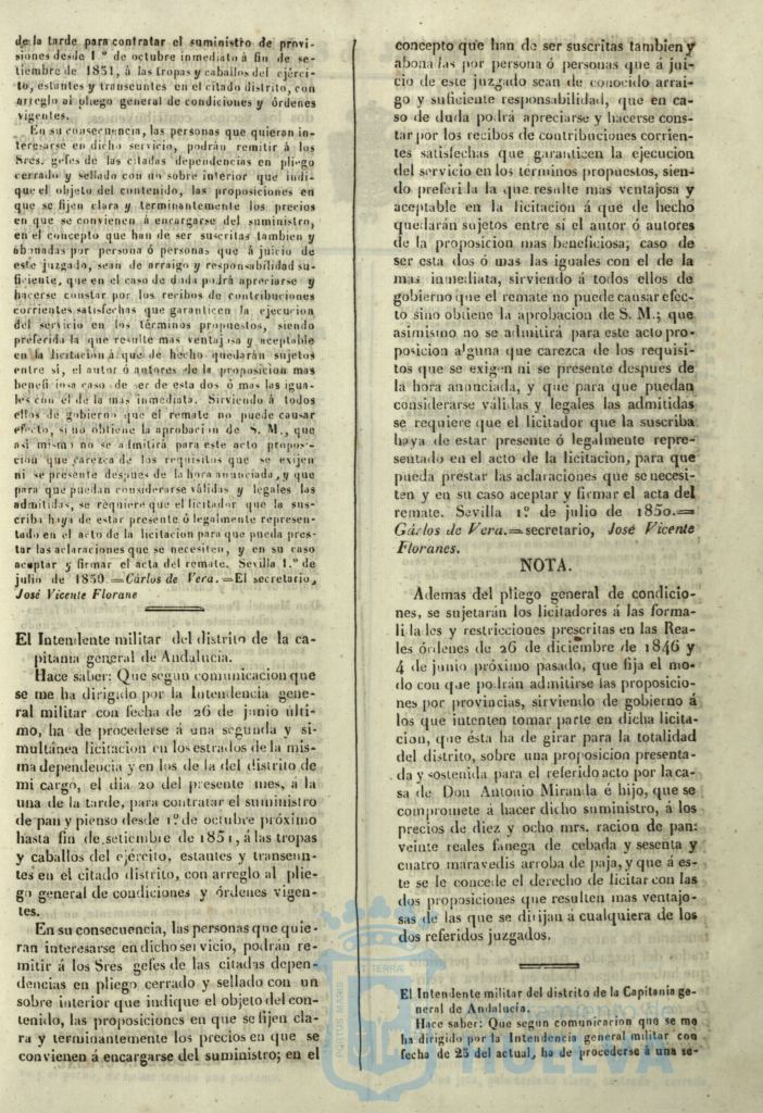 * Image 313
