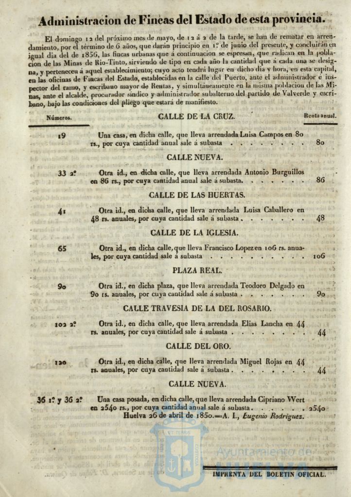 * Image 202