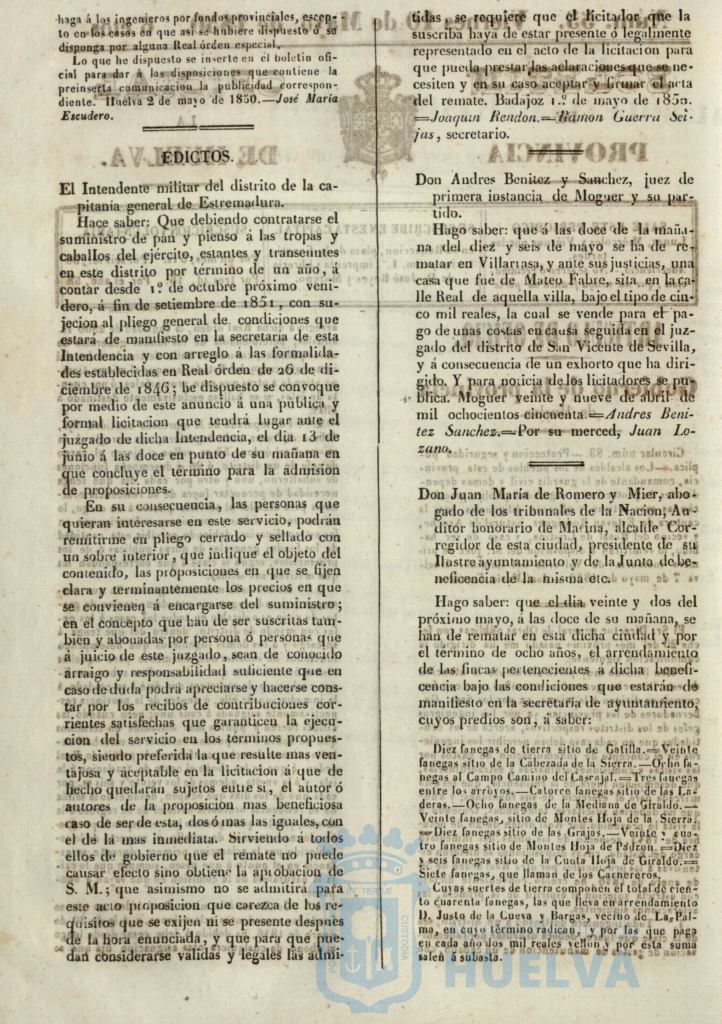 * Image 217