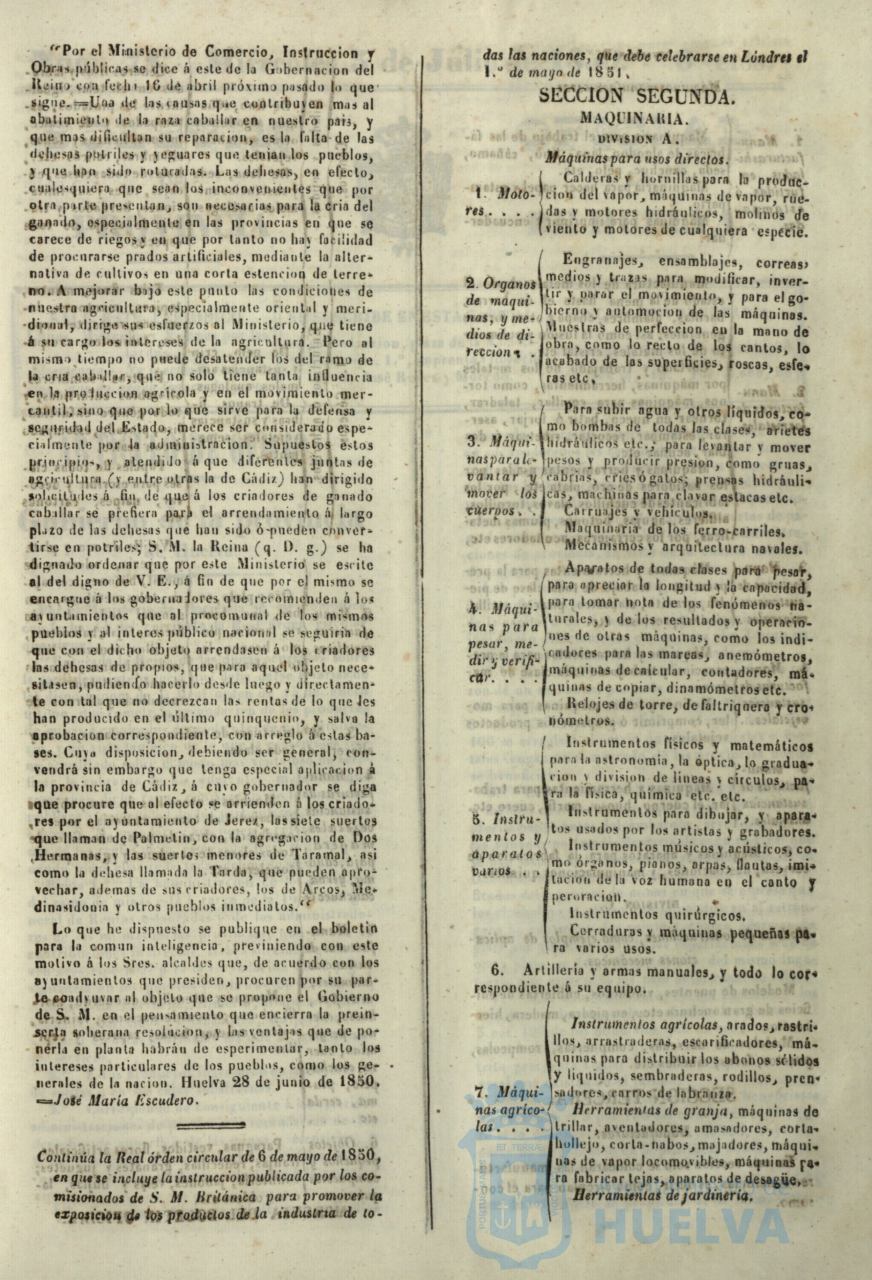 * Image 305