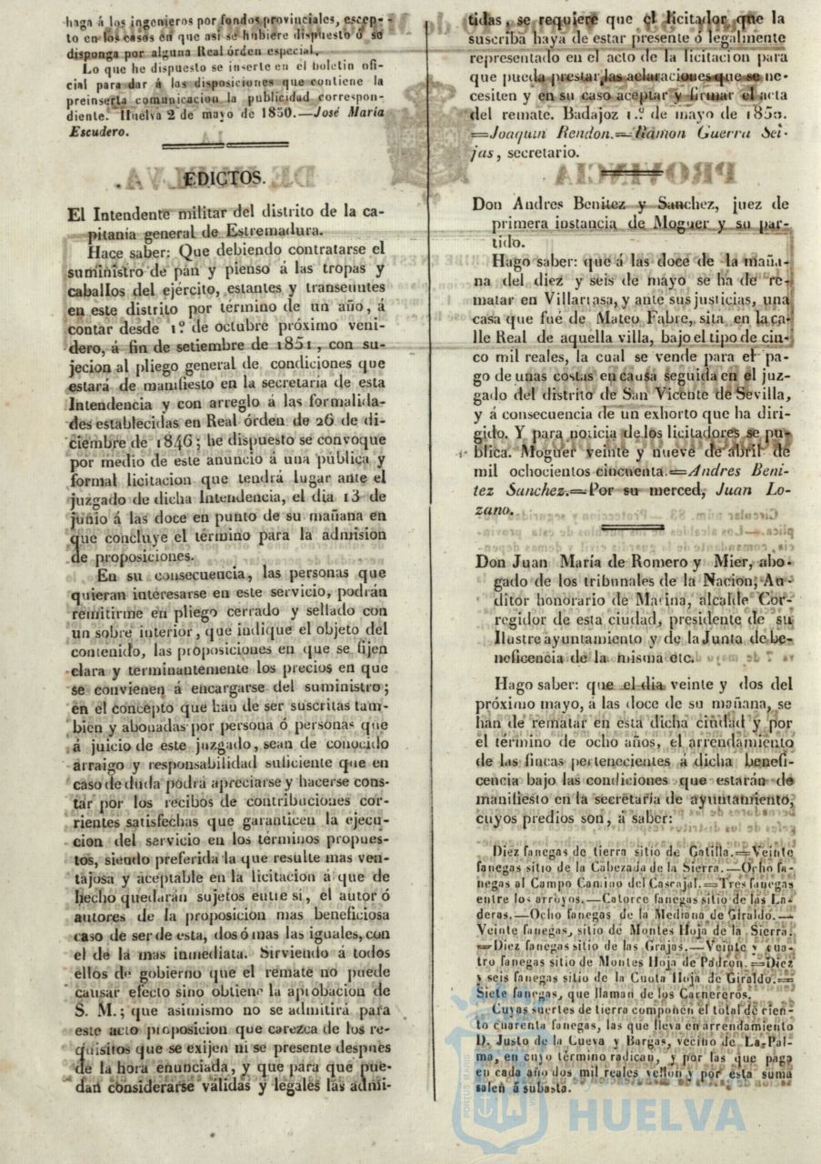 * Image 217