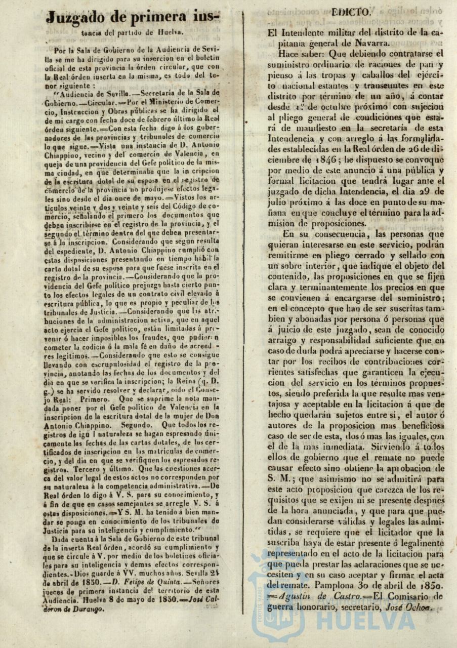* Image 223