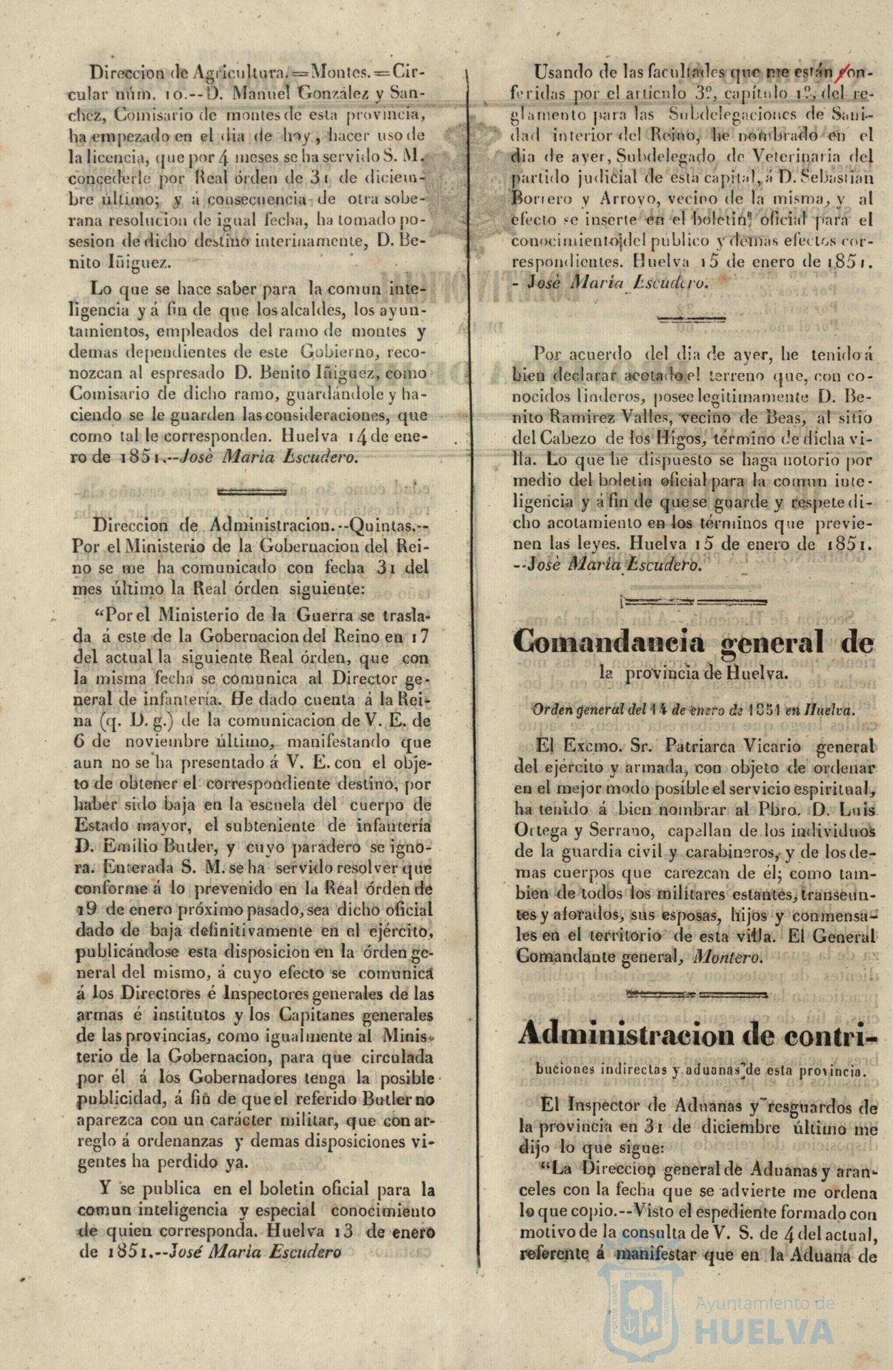 * Image 31
