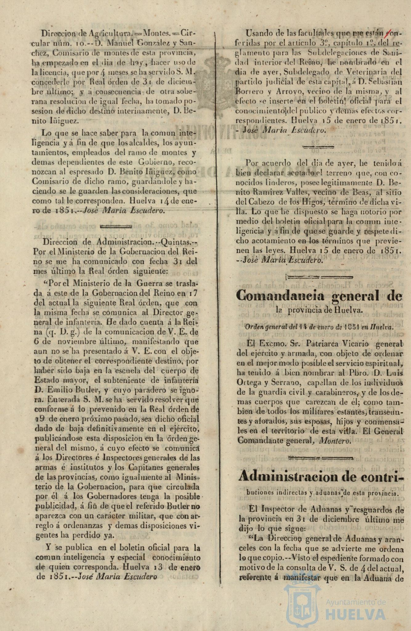 * Image 31