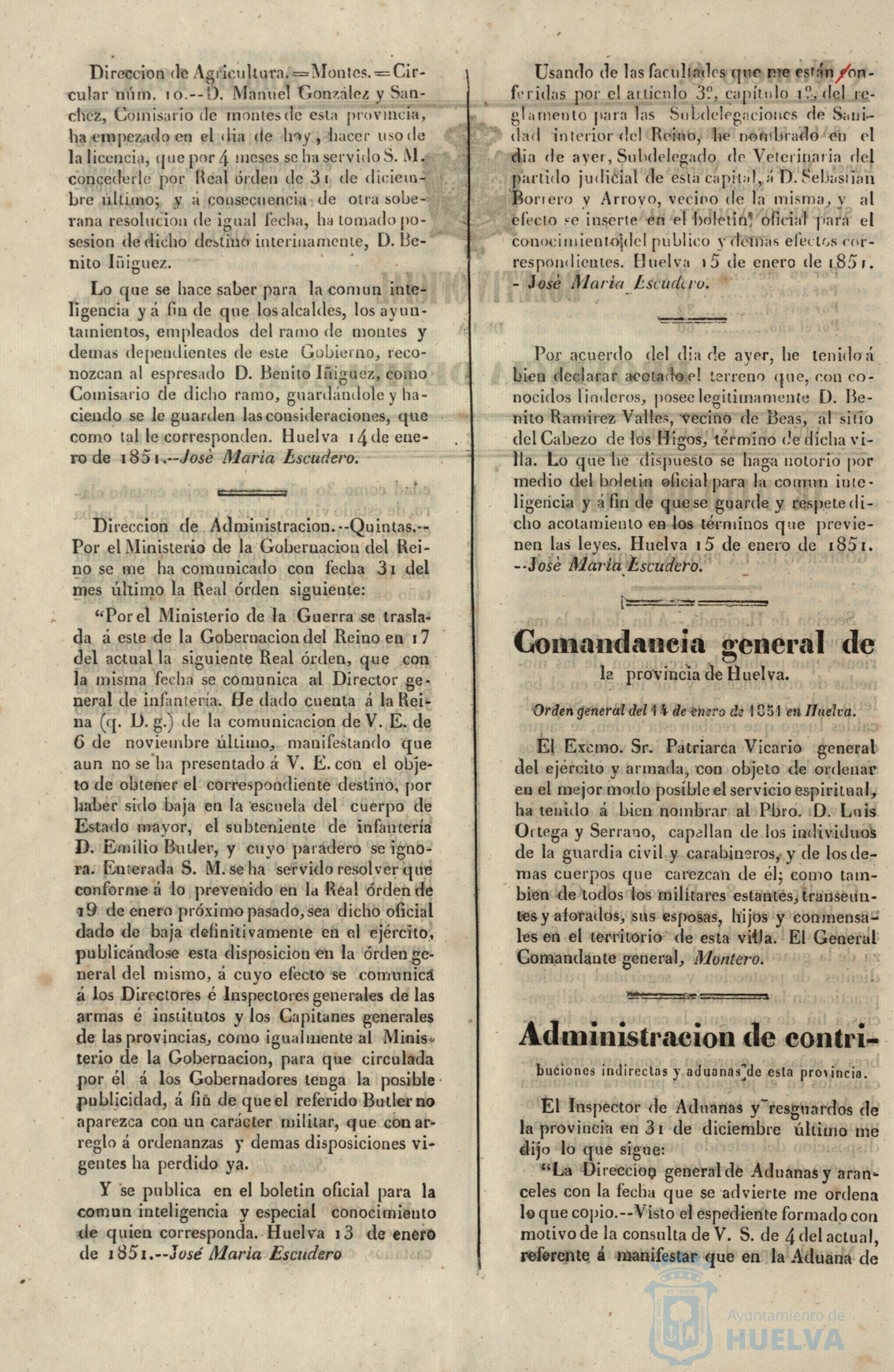 * Image 31