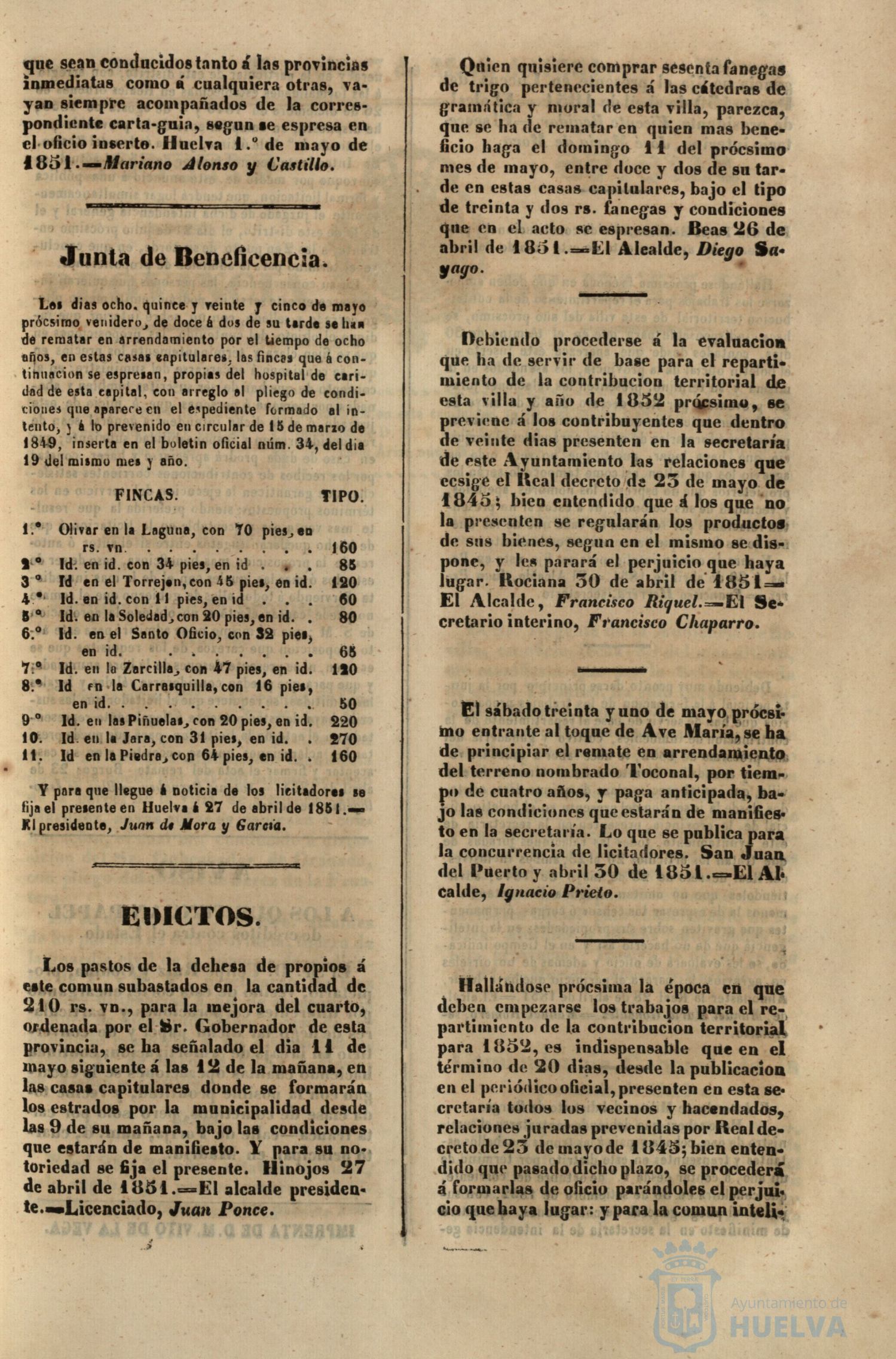 * Image 217