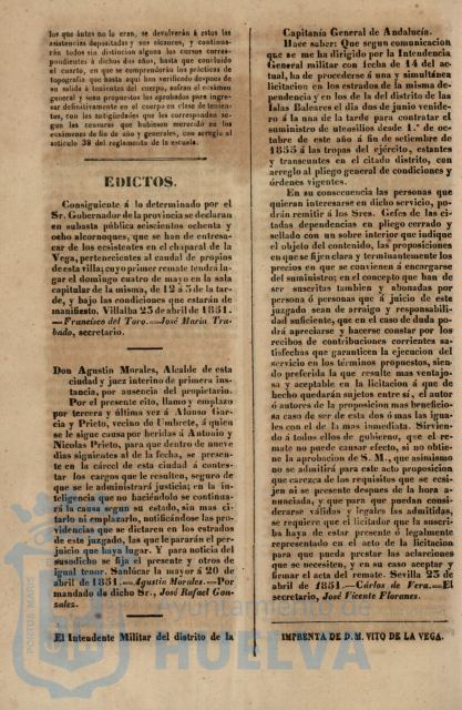 * Image 206