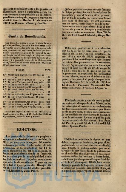 * Image 217