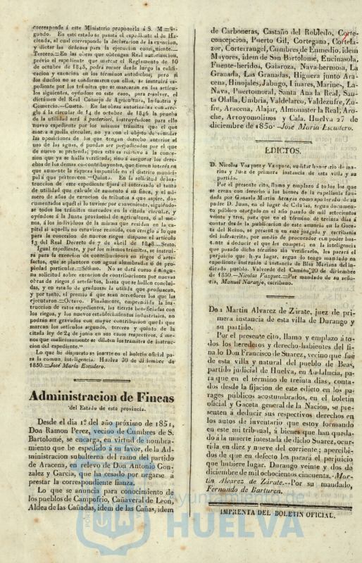 * Image 5