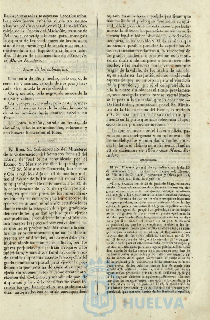 * Image 4