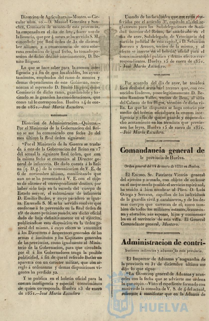 * Image 31