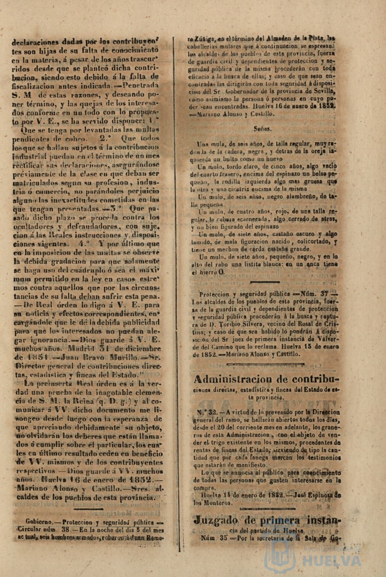 * Image 36
