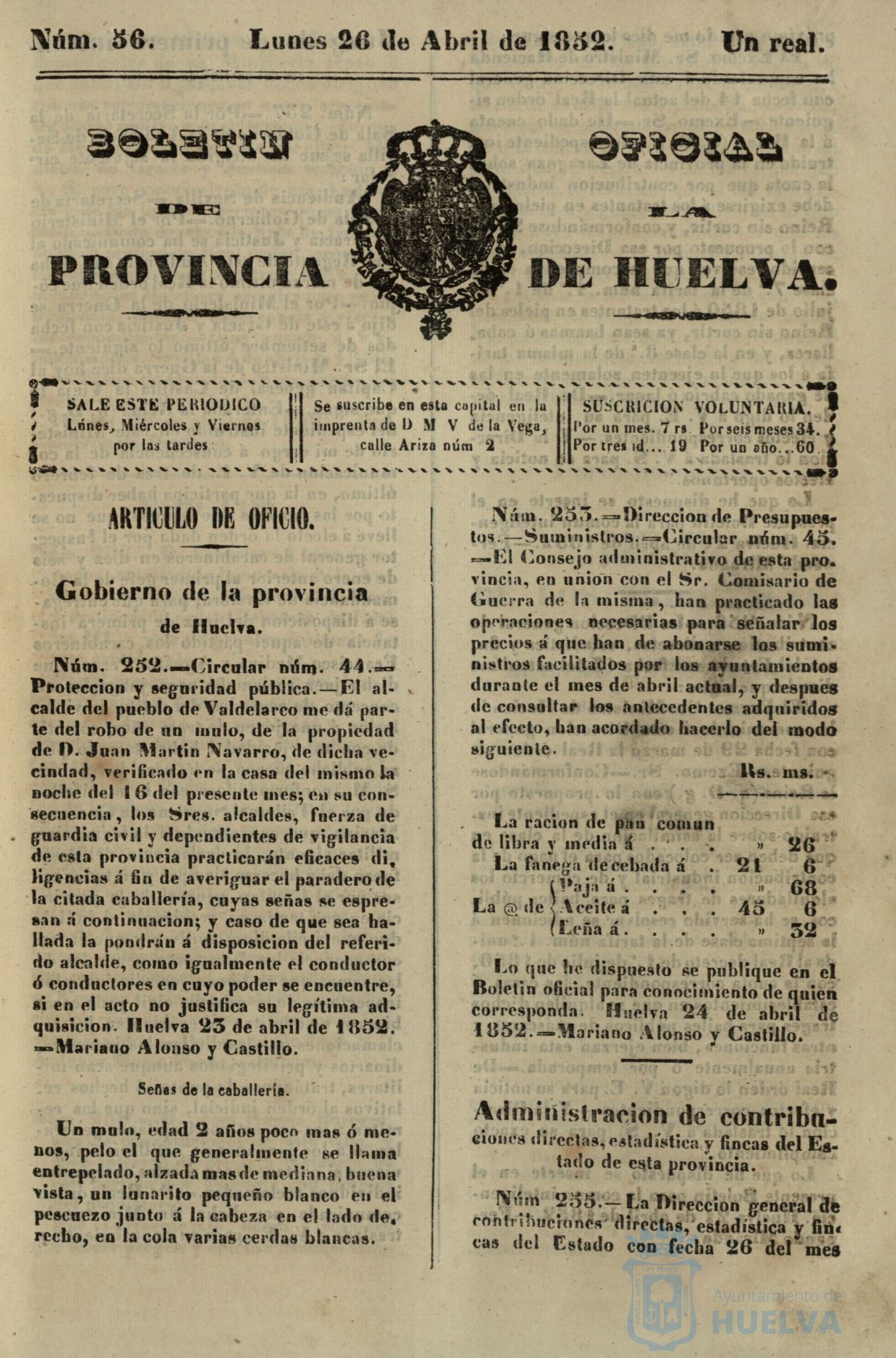 * Image 203