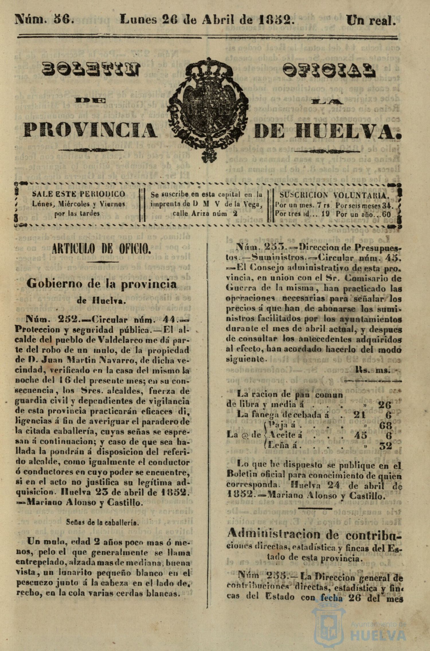 * Image 203