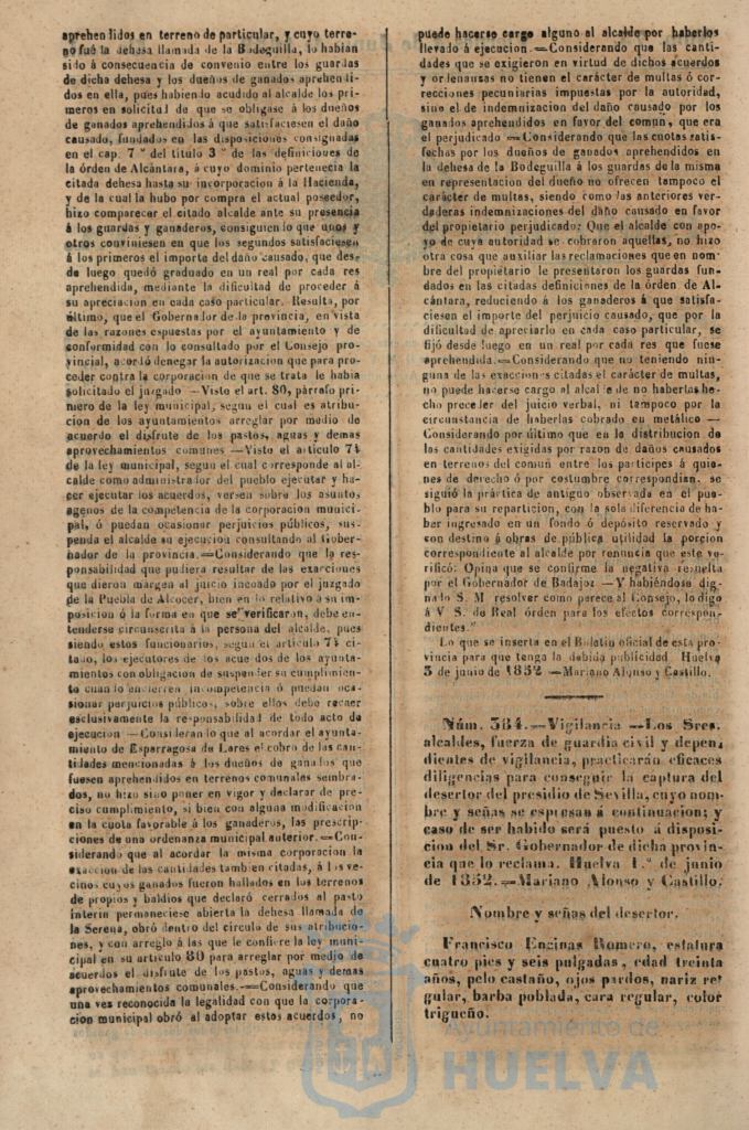 * Image 1842