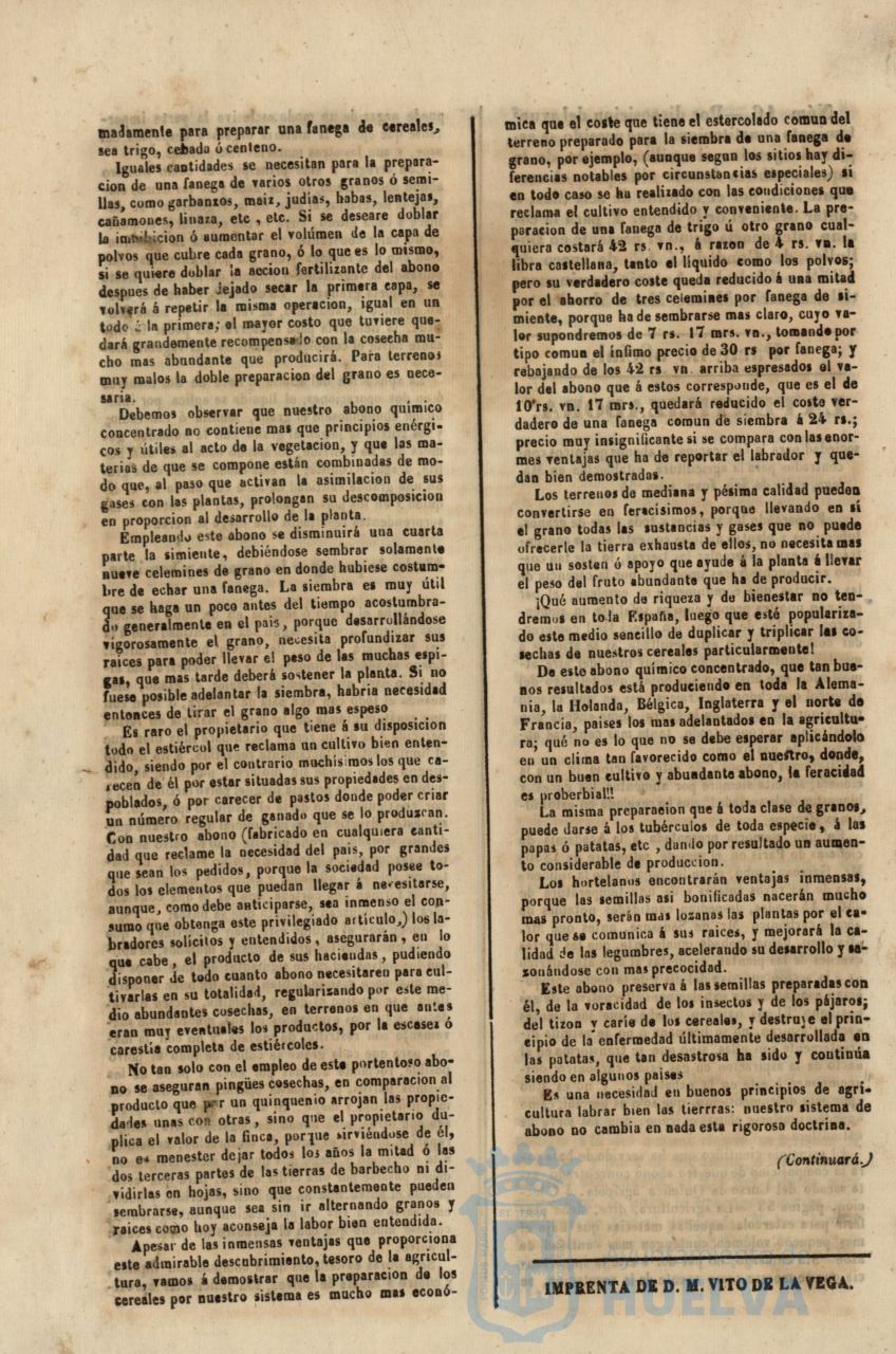 * Image 25