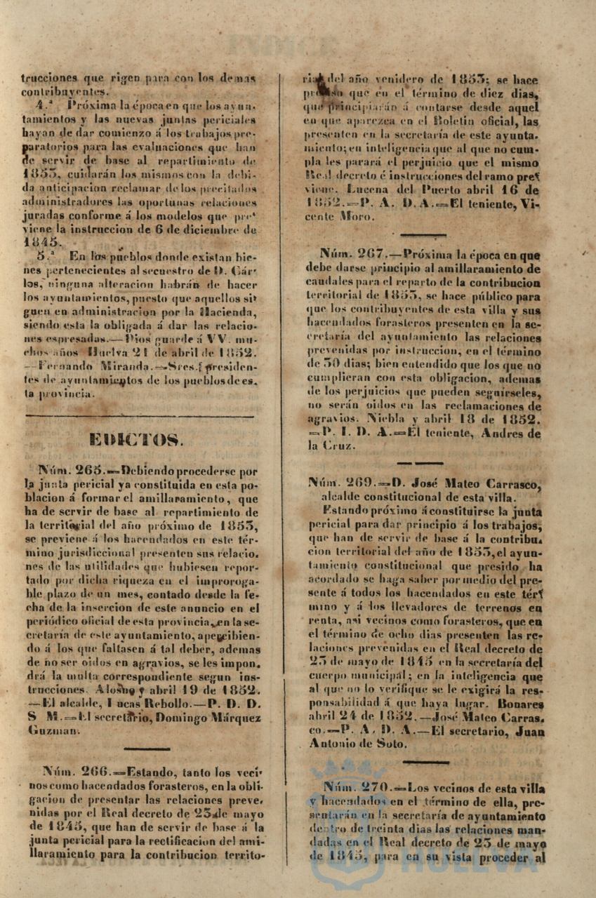 * Image 213