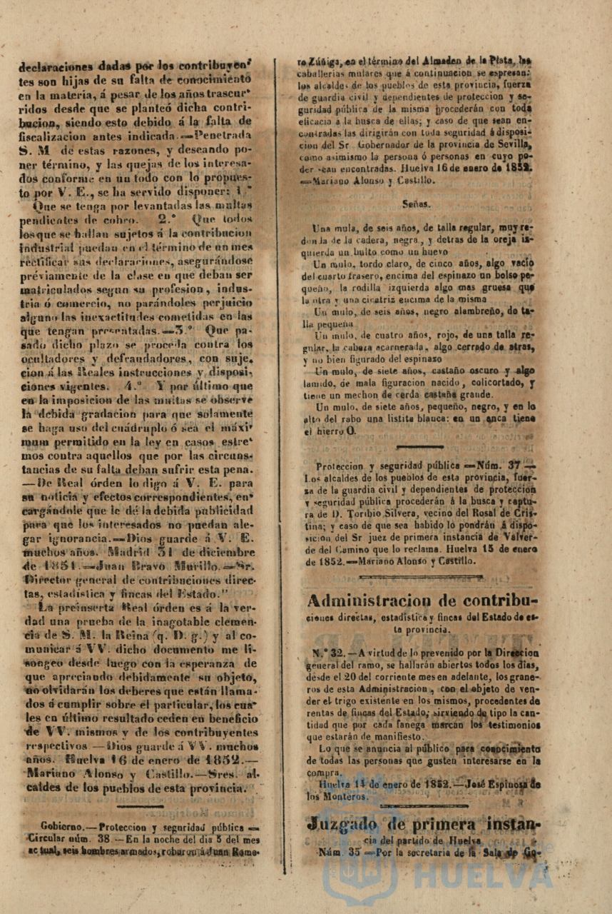 * Image 36