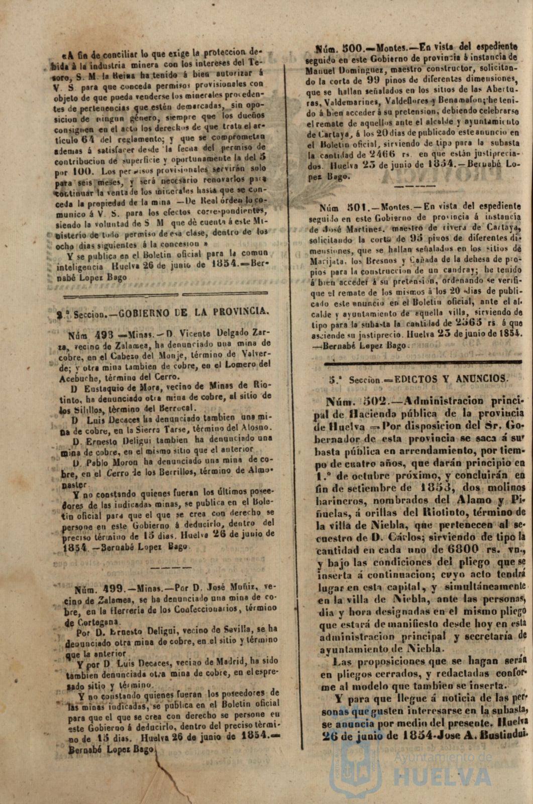 * Image 313