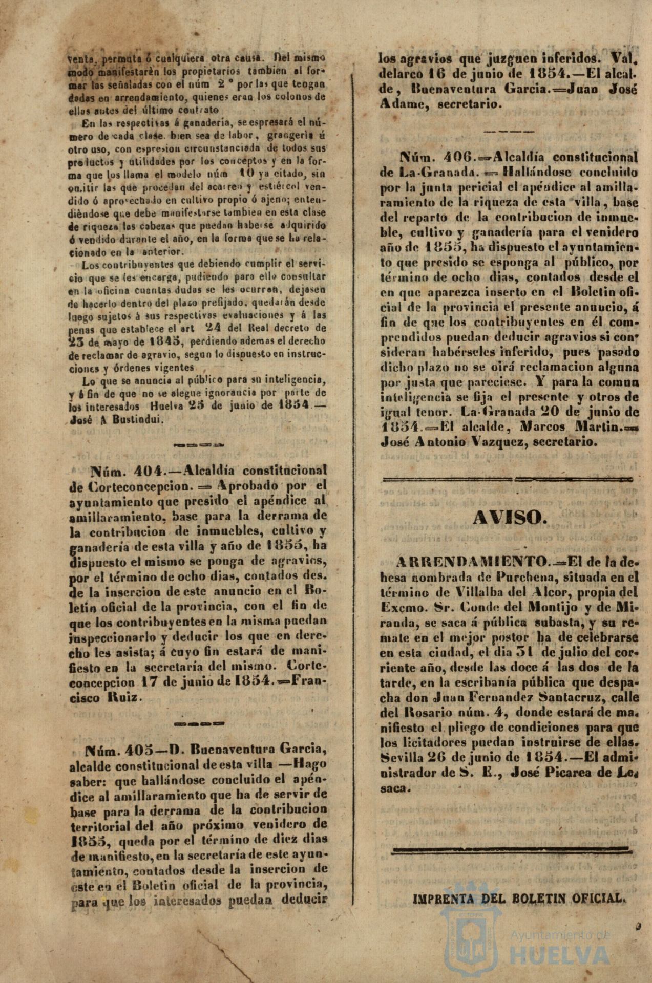 * Image 315