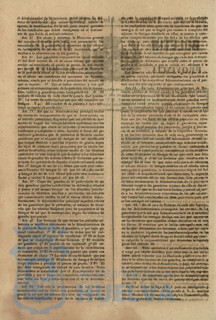 * Image 170