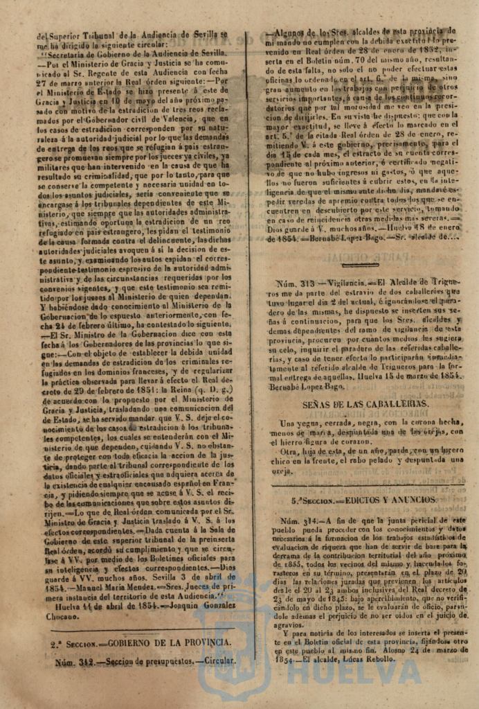 * Image 190