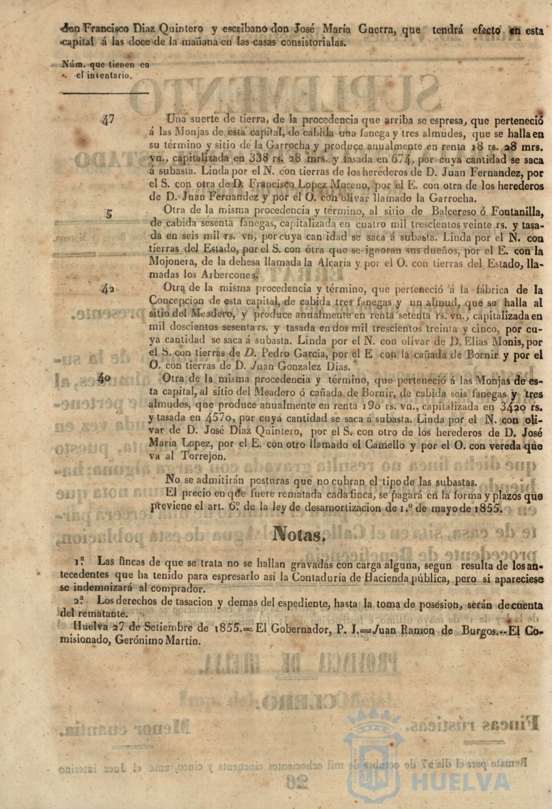 * Image 102