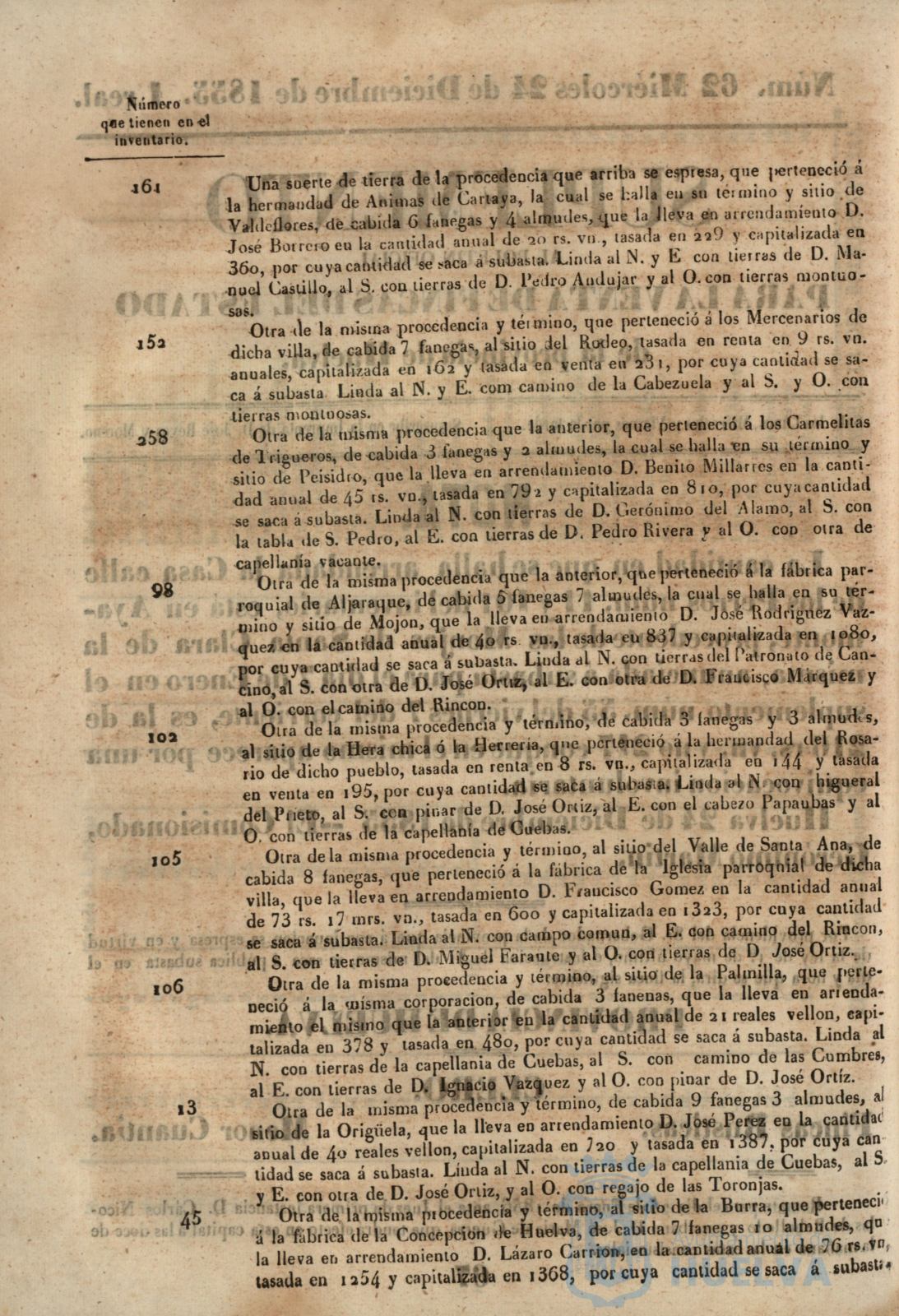 * Image 253