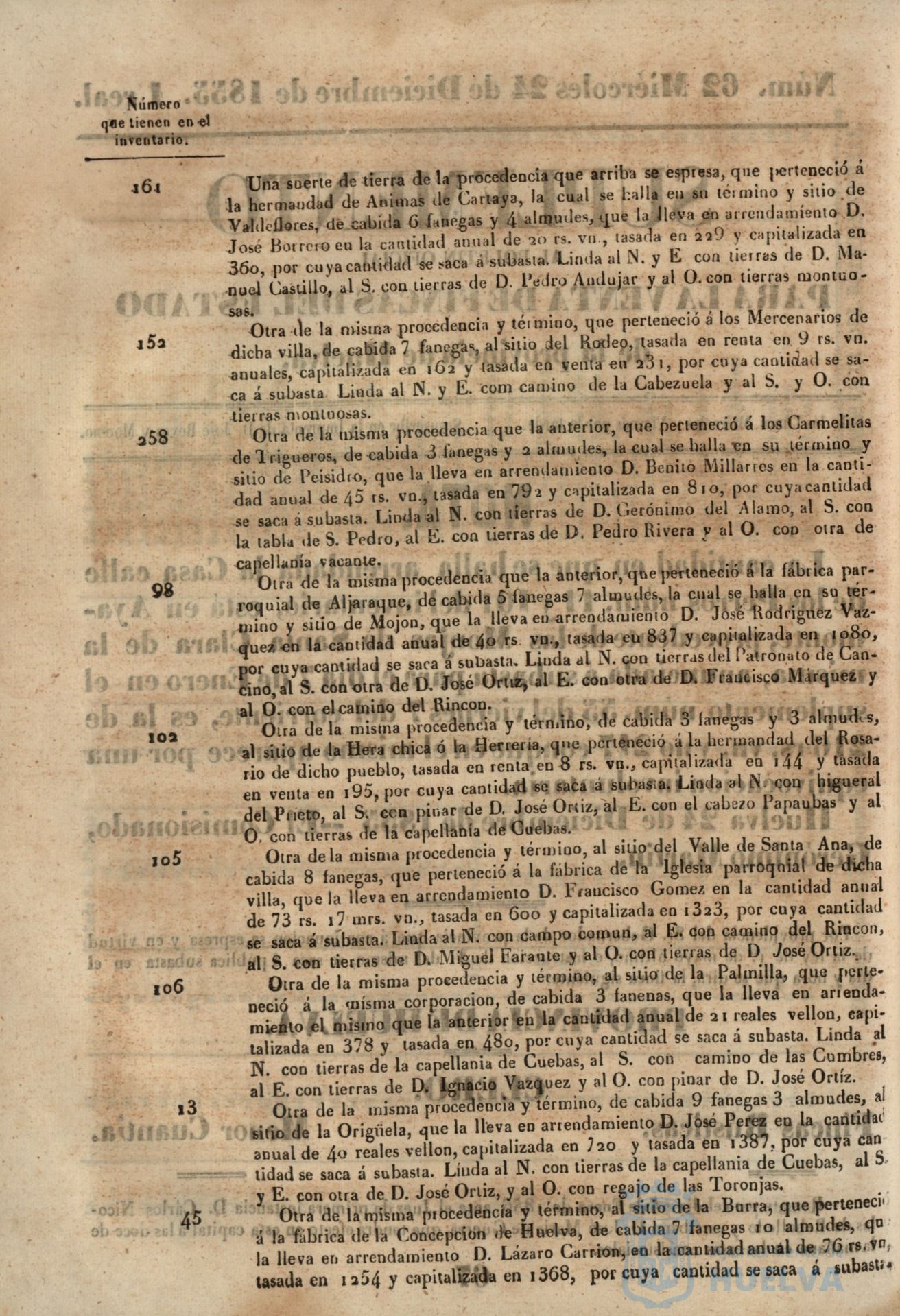 * Image 253