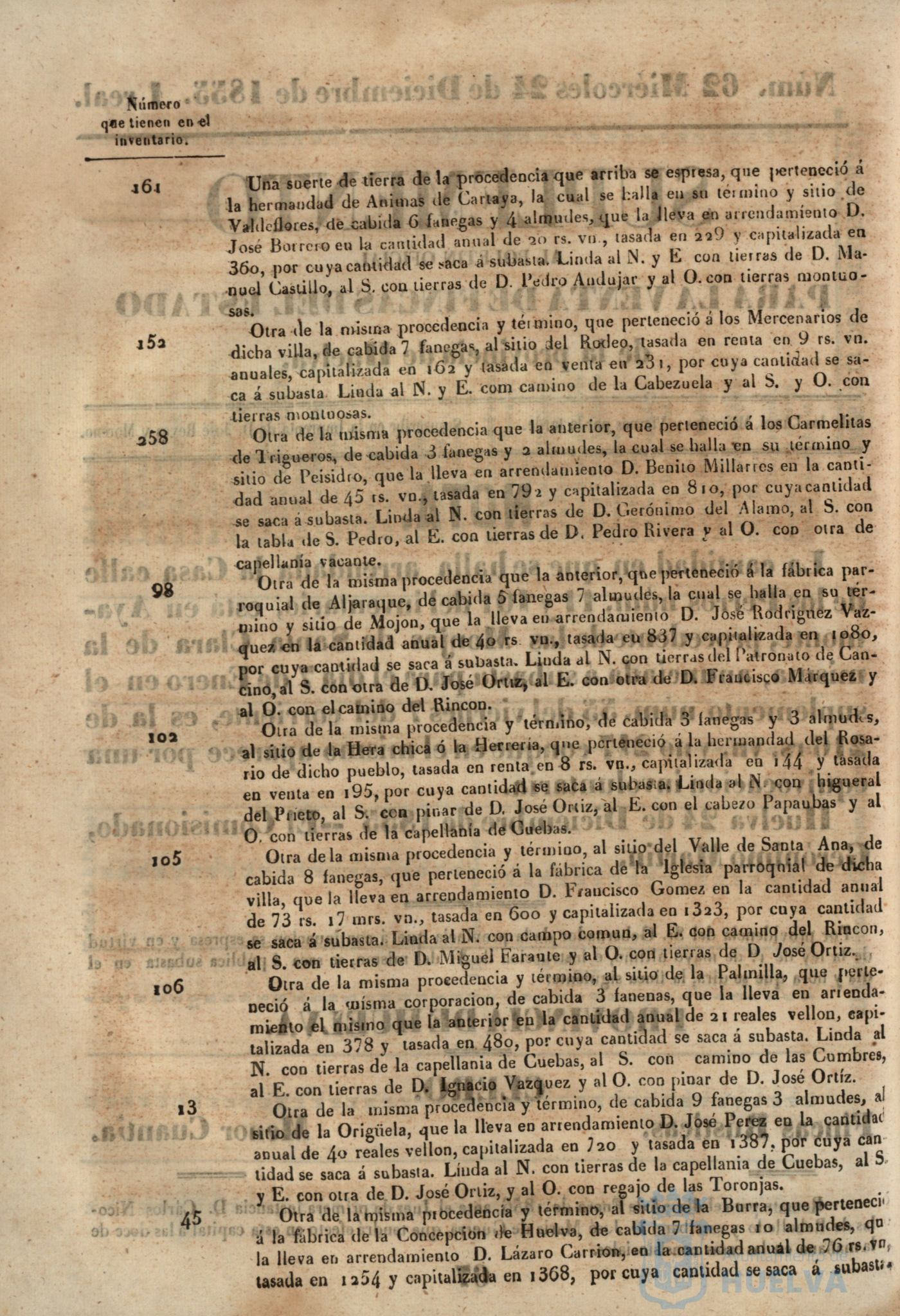 * Image 253