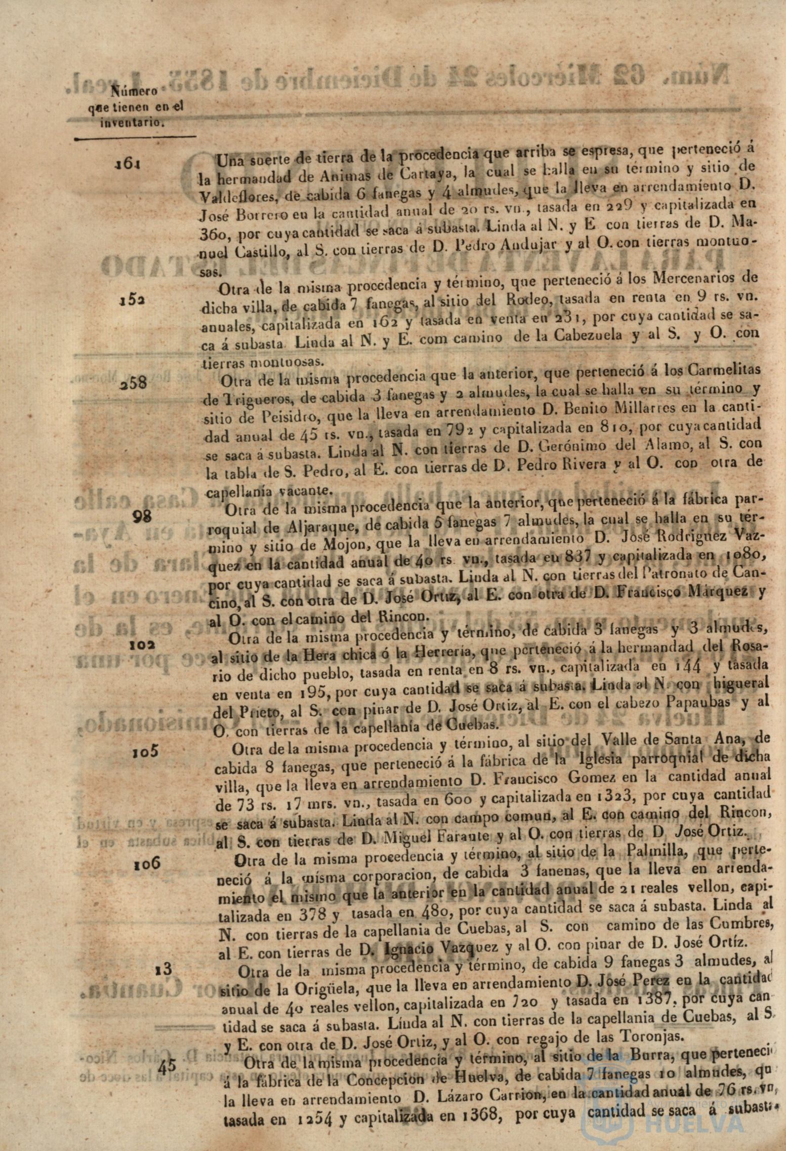 * Image 253