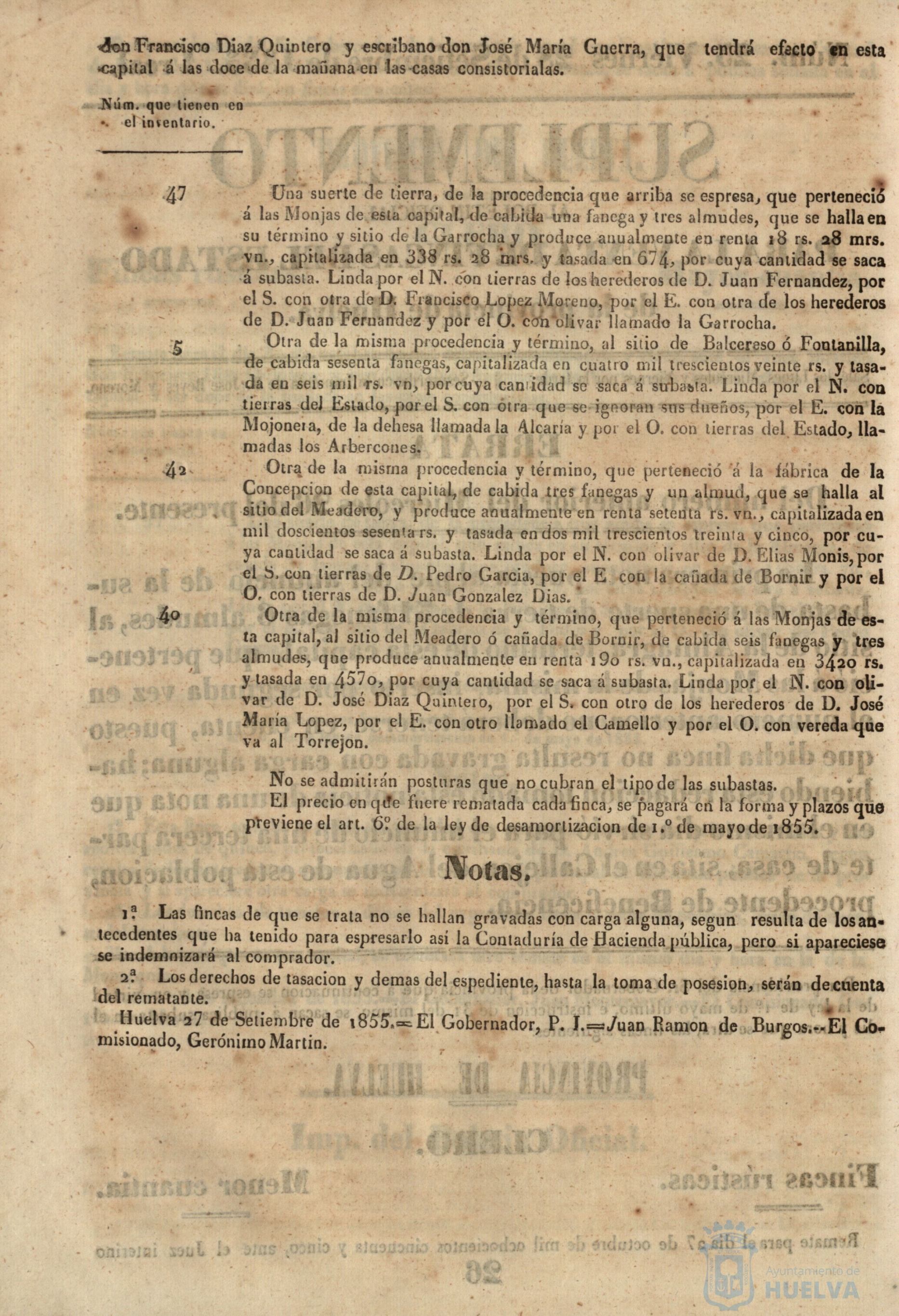 * Image 102