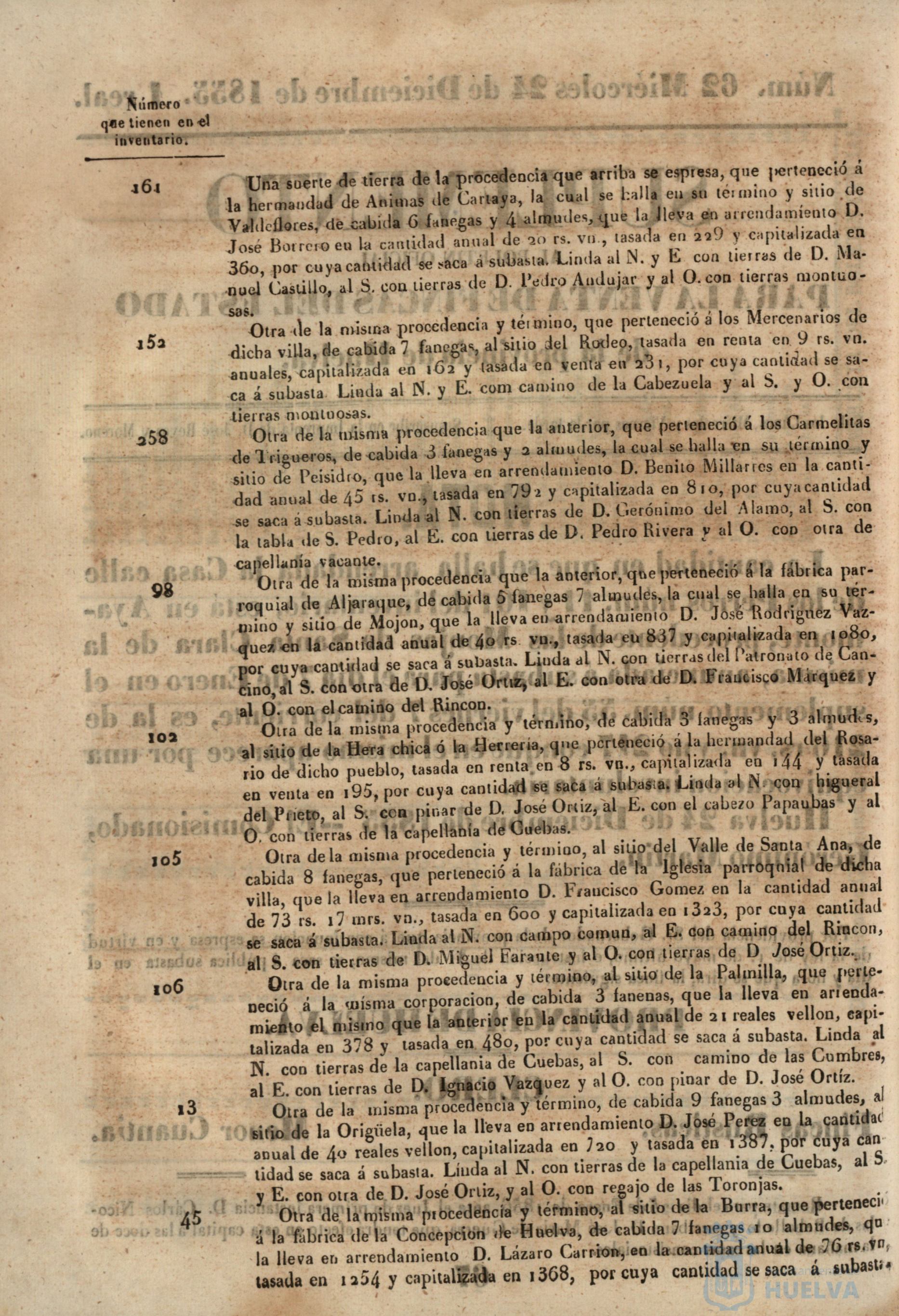 * Image 253