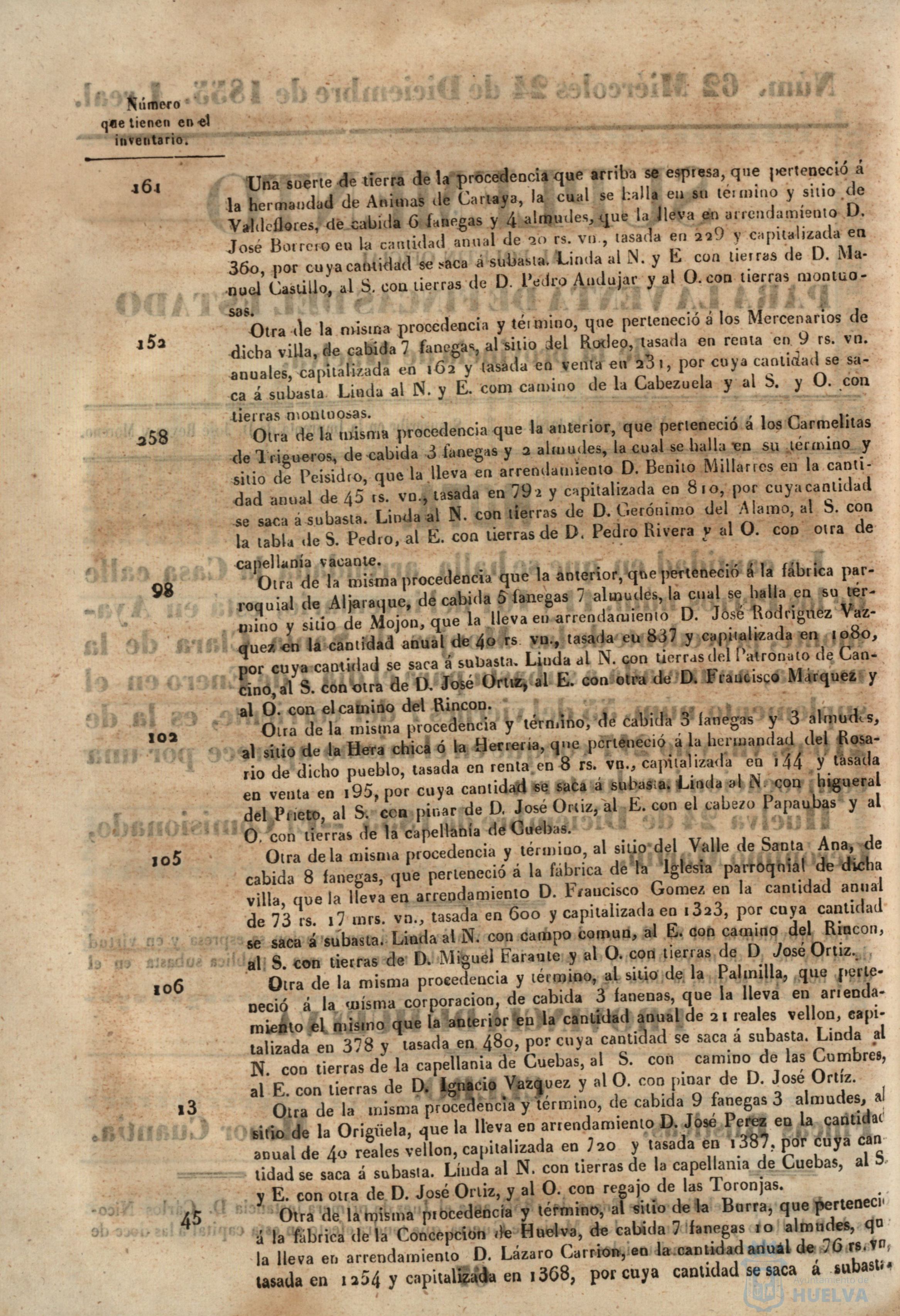* Image 253