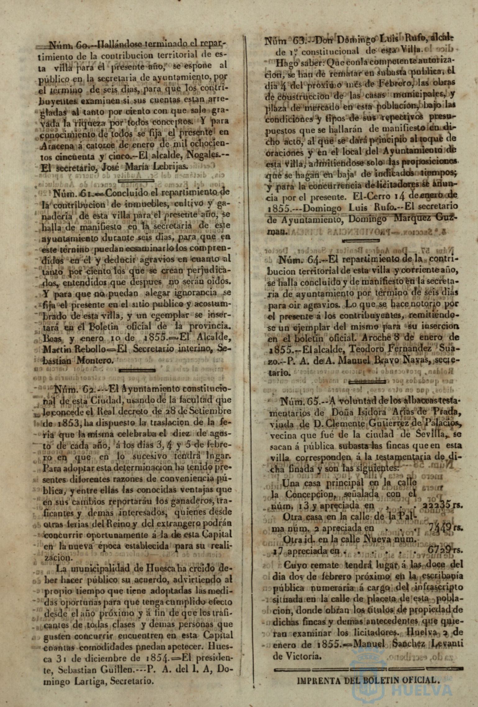 * Image 33