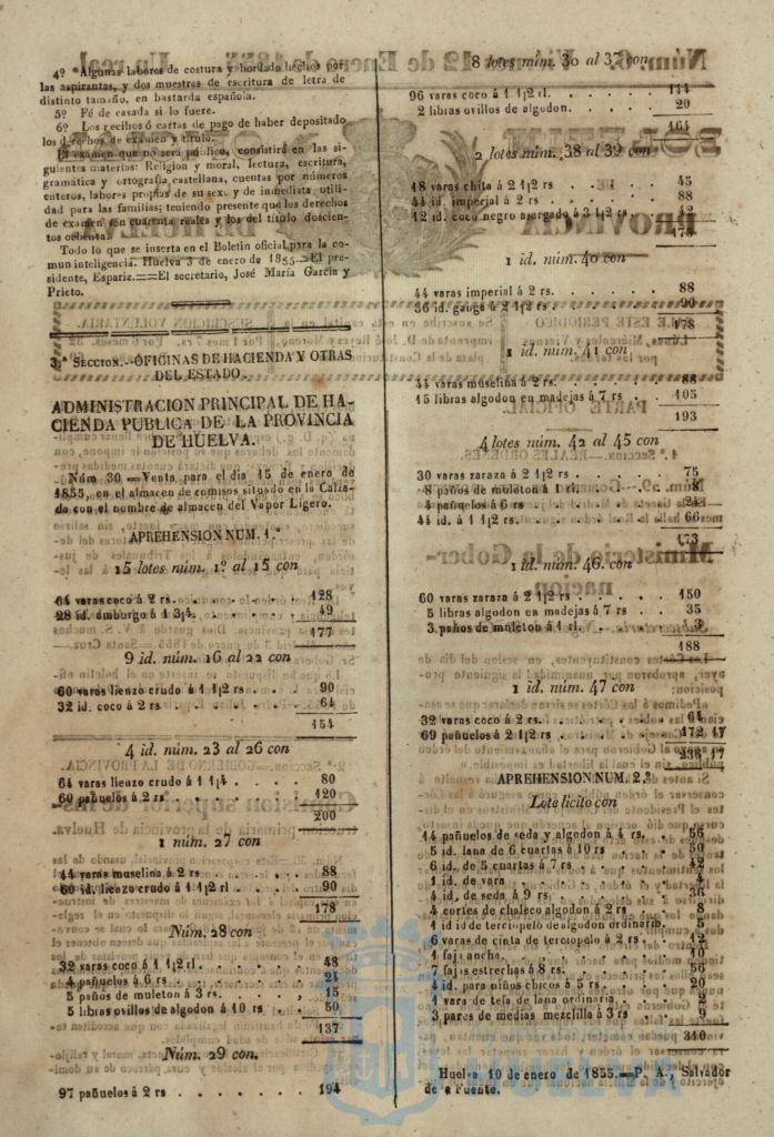 * Image 23