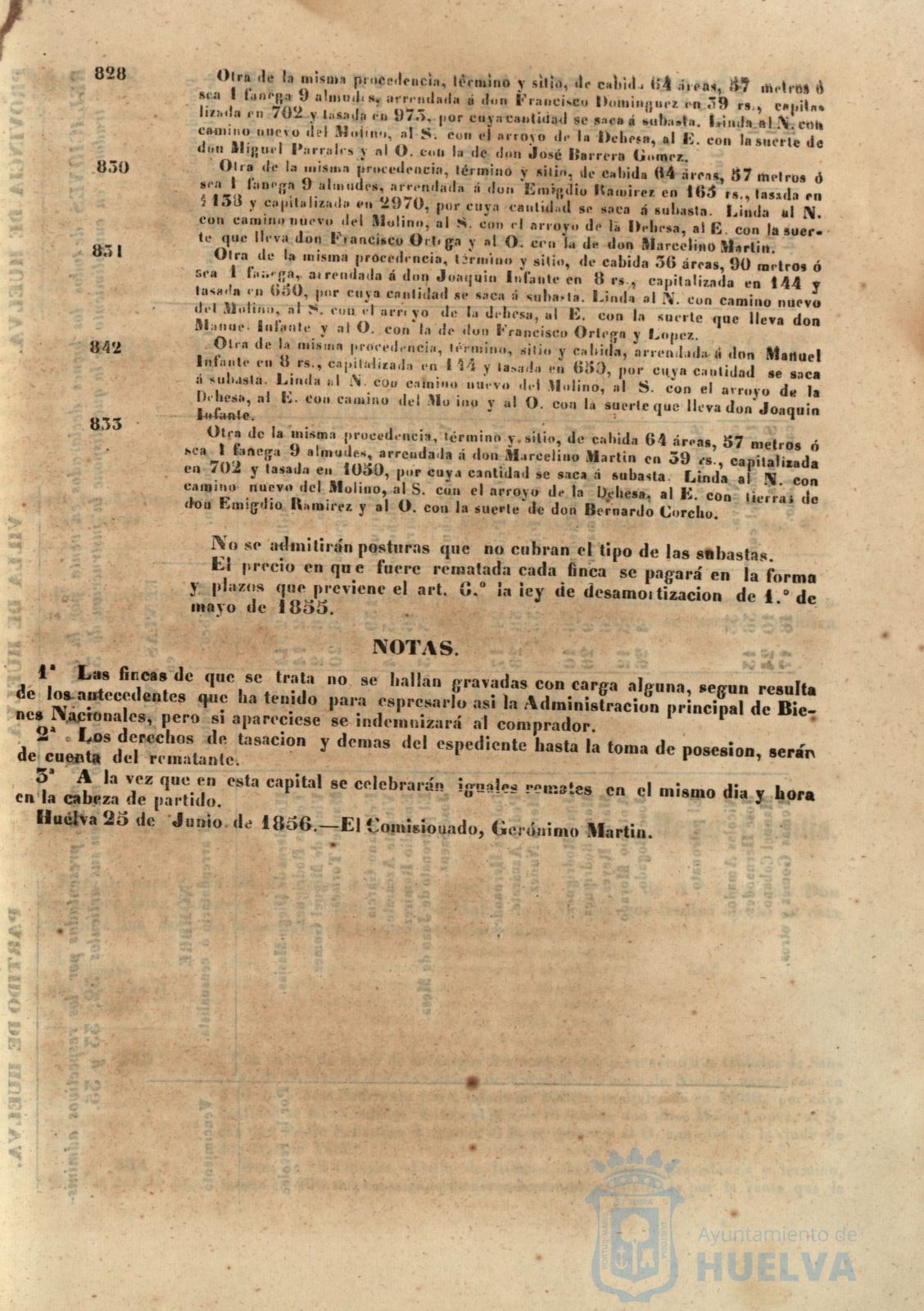 * Image 306