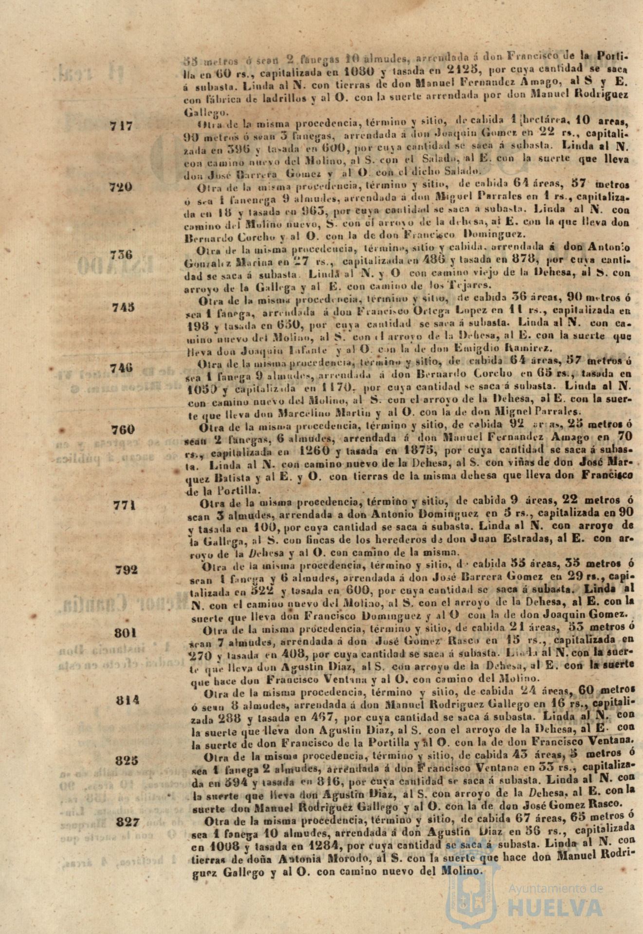 * Image 305