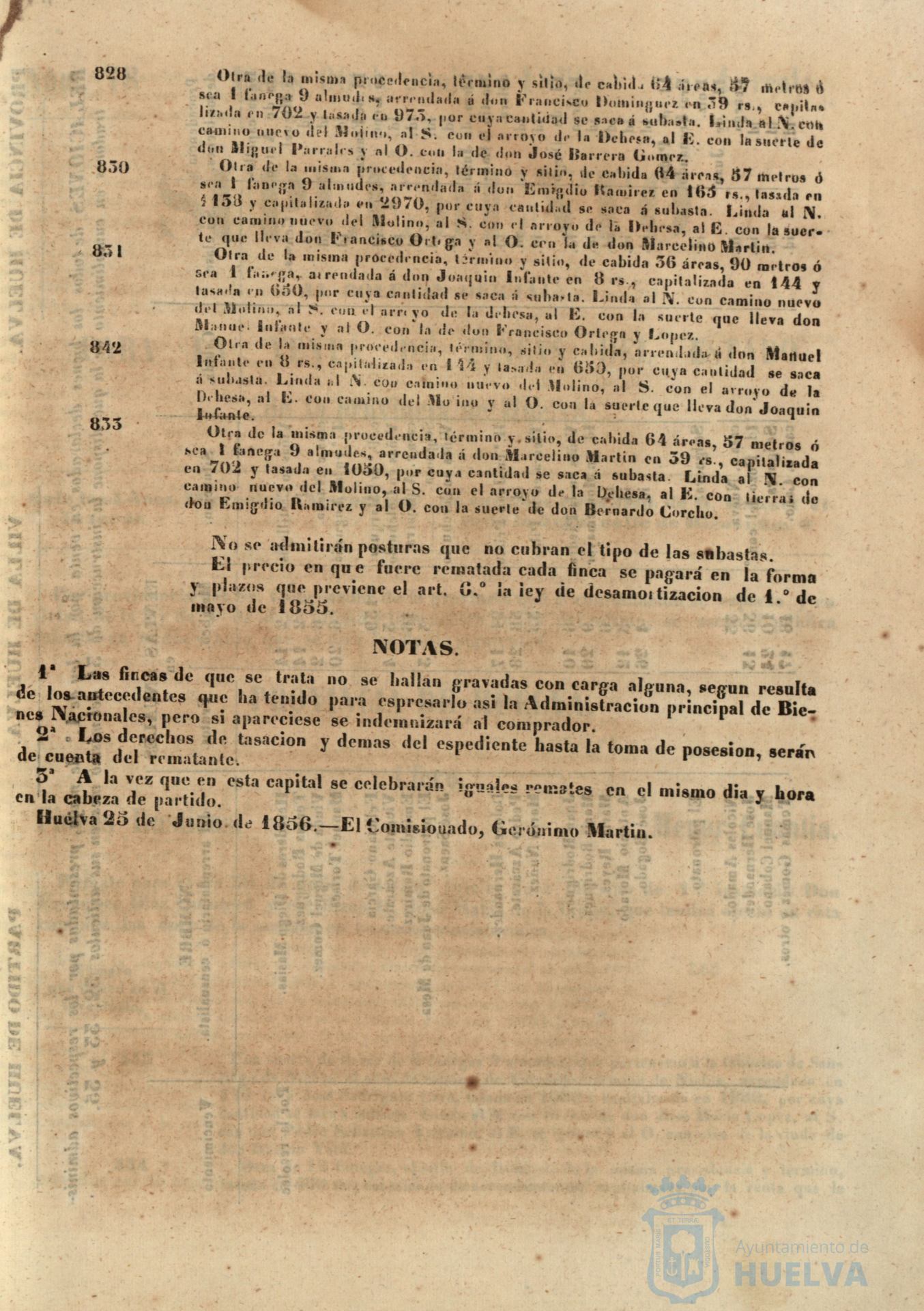 * Image 306
