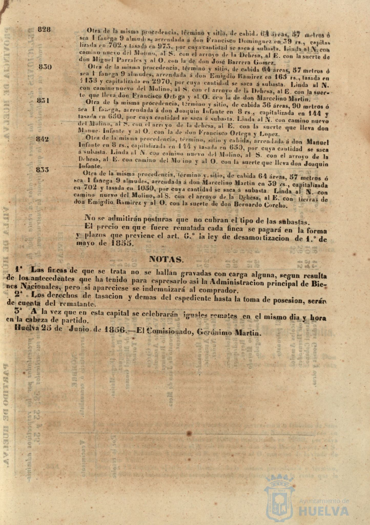 * Image 306