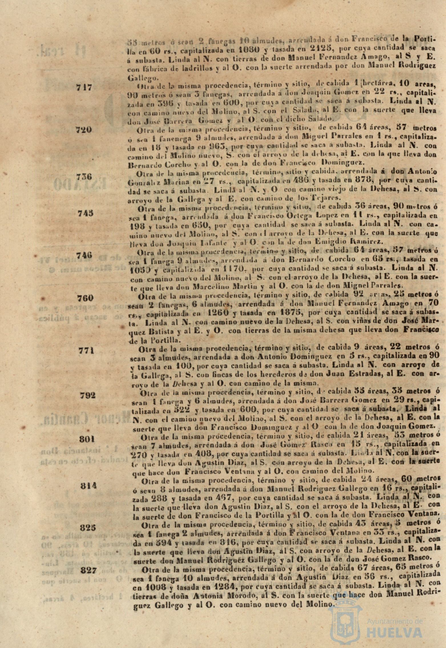 * Image 305