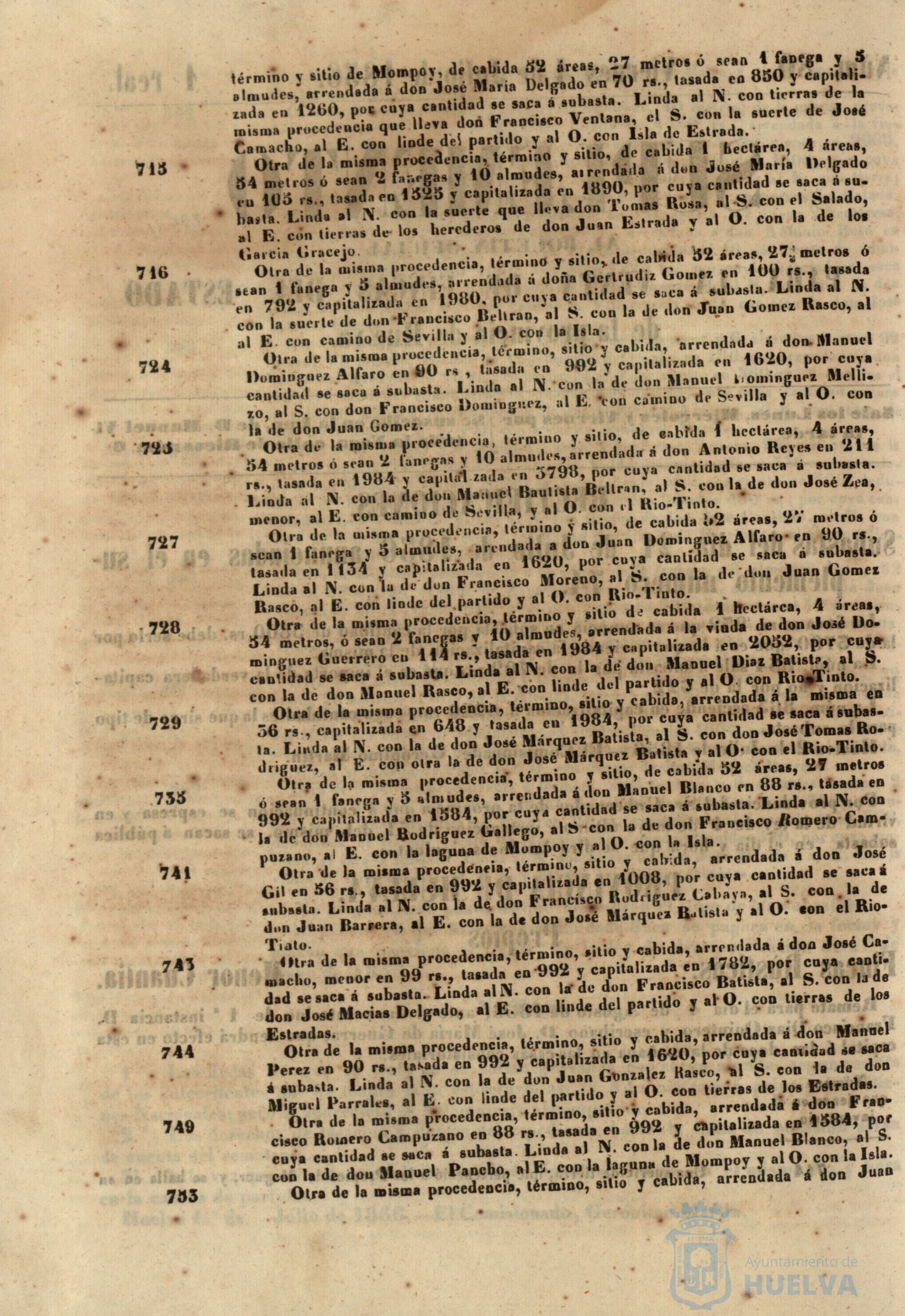 * Image 317