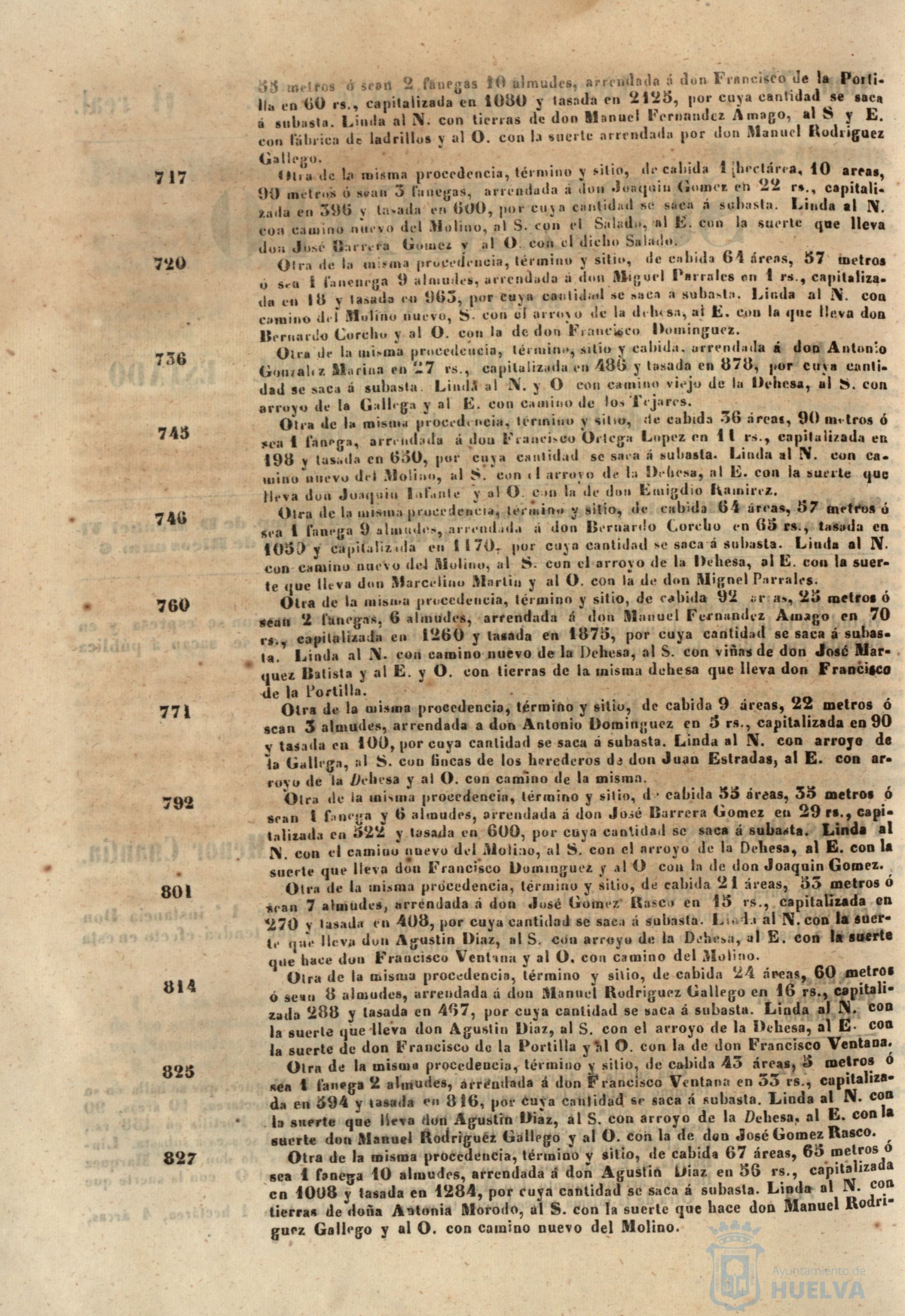 * Image 305