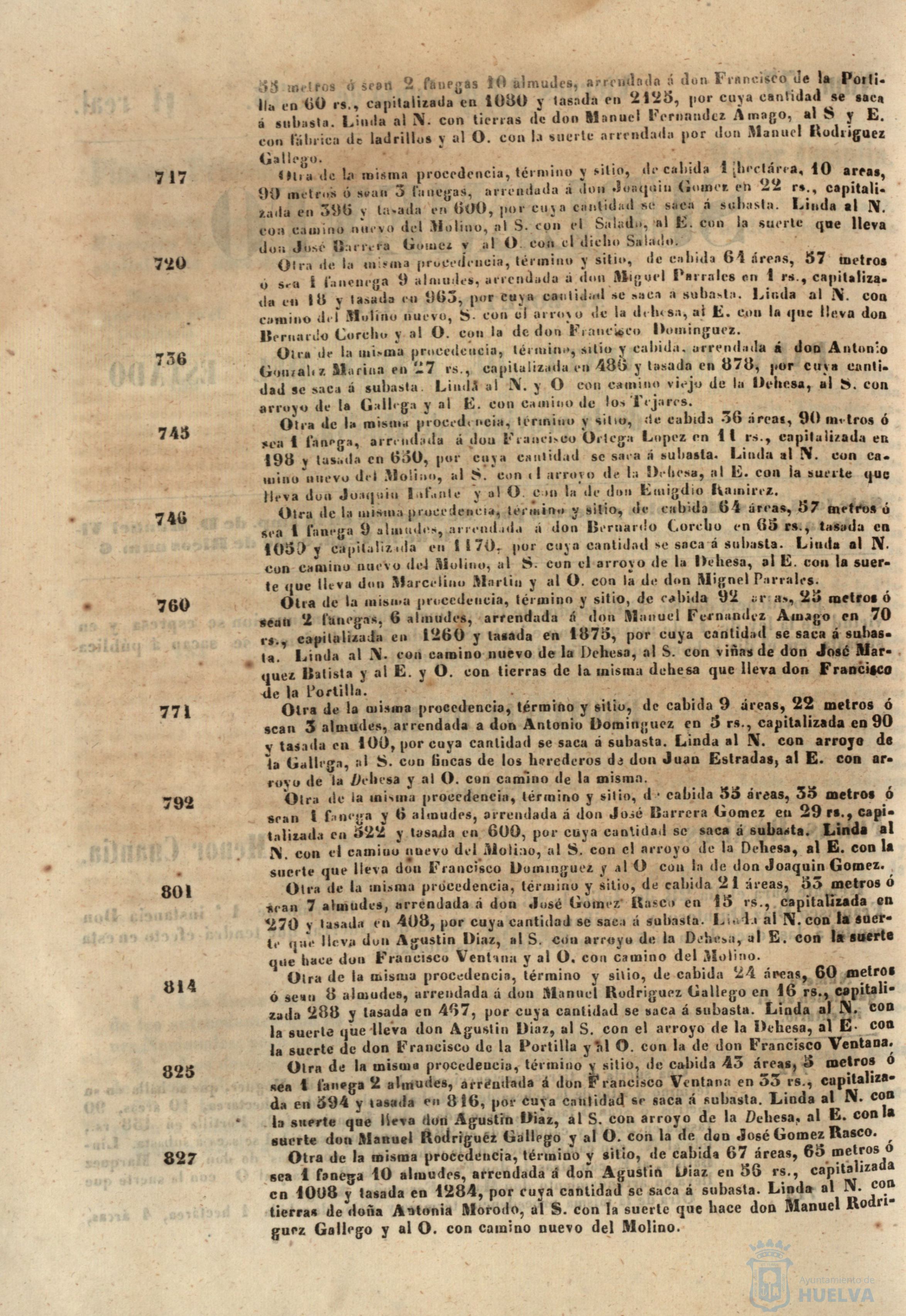 * Image 305