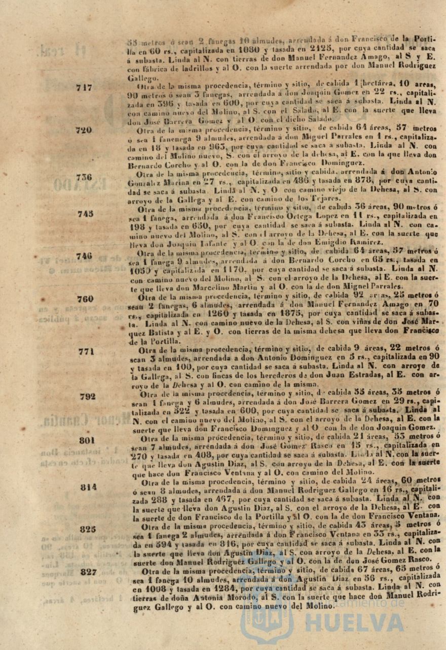 * Image 305