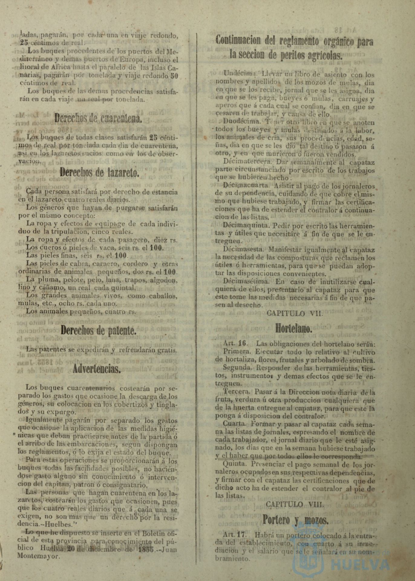 * Image 31