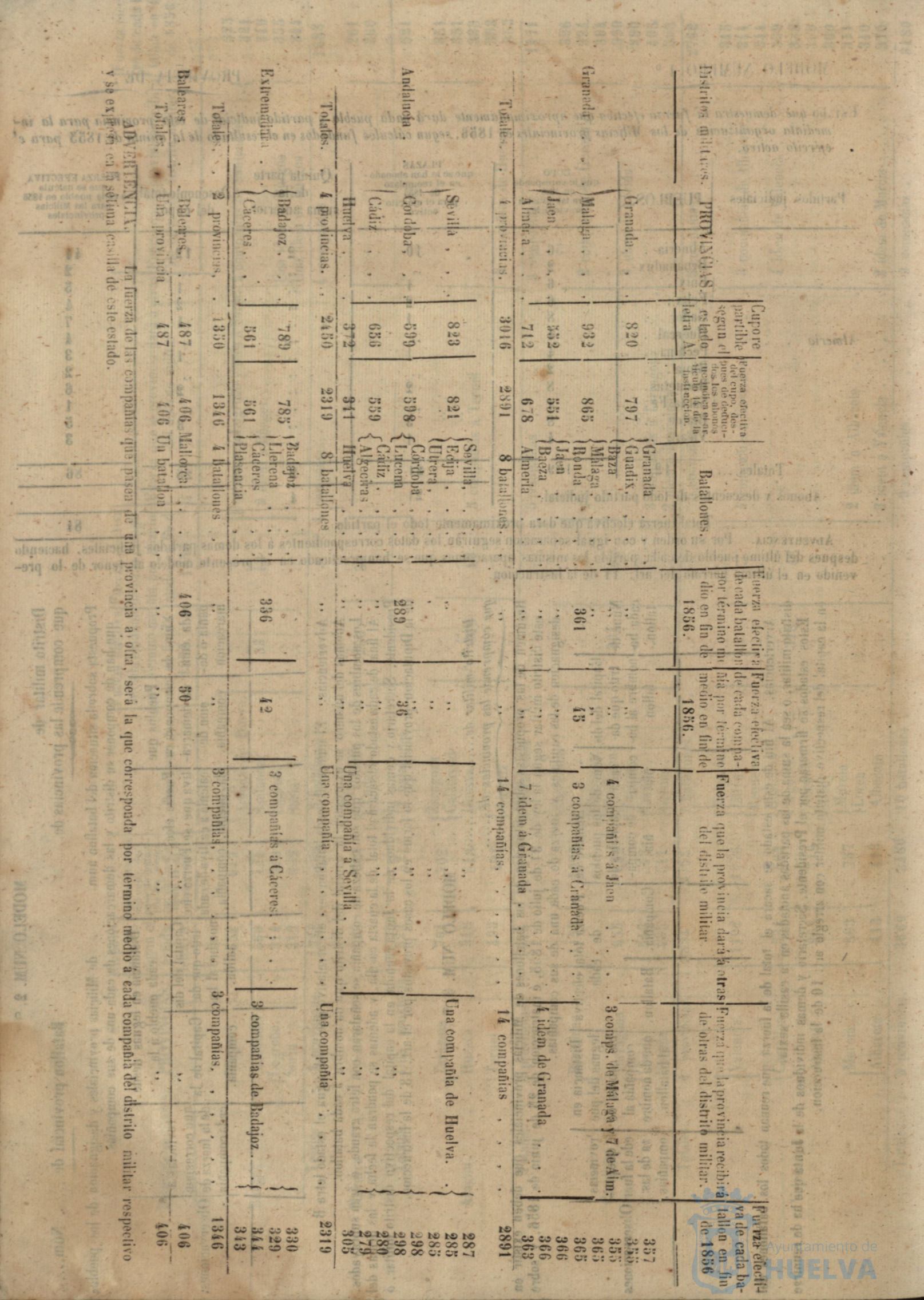 * Image 338