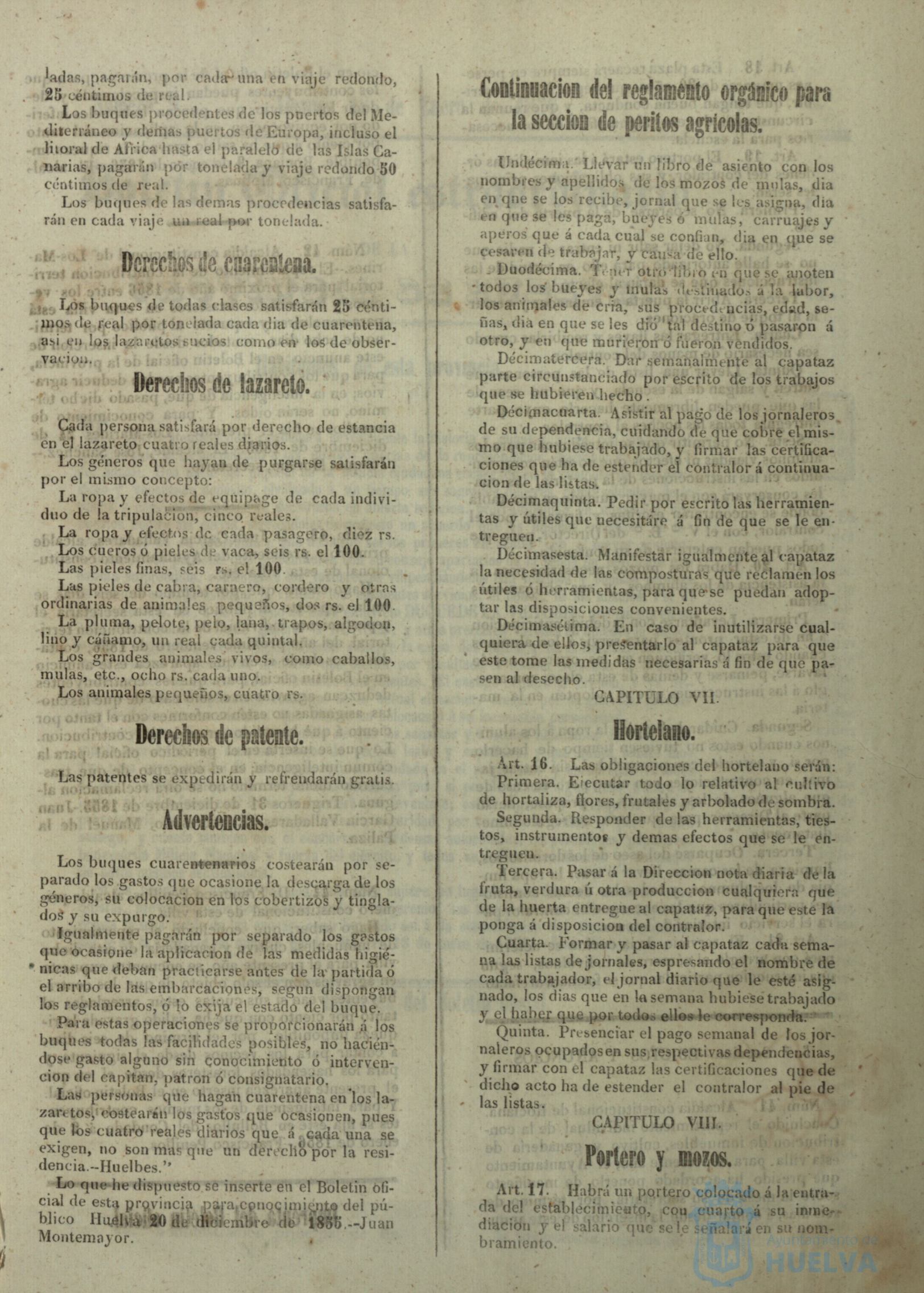 * Image 31